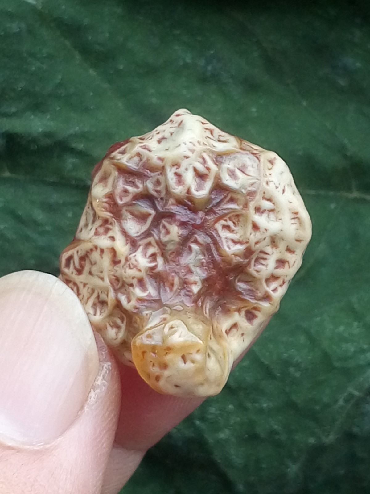 26mm Beautiful Natural GoBi agate veins agate collection