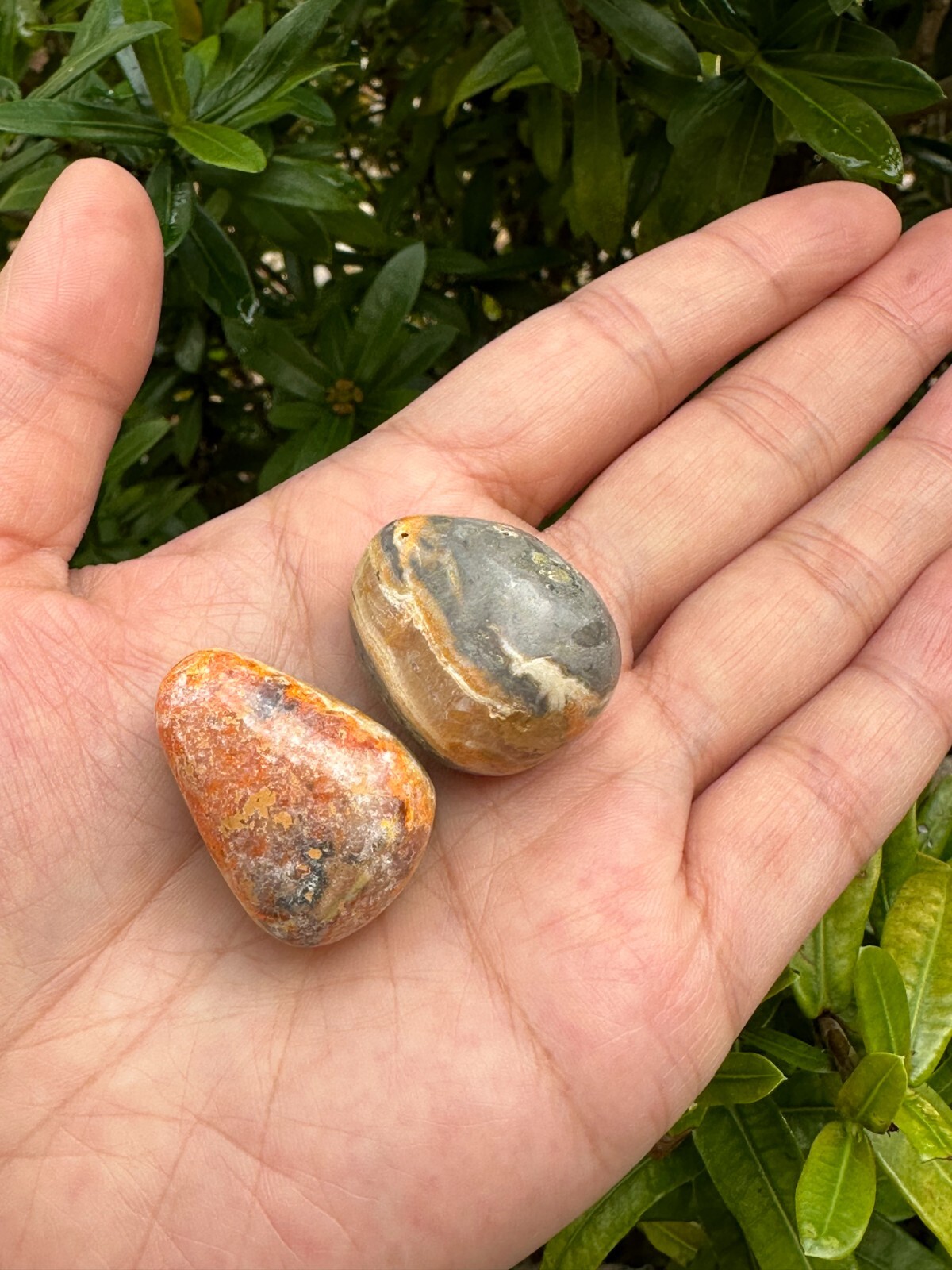 Grade A++ Bumblebee Jasper Tumbled Stones, 0.85-1″ Tumbled Bumblebee Jasper