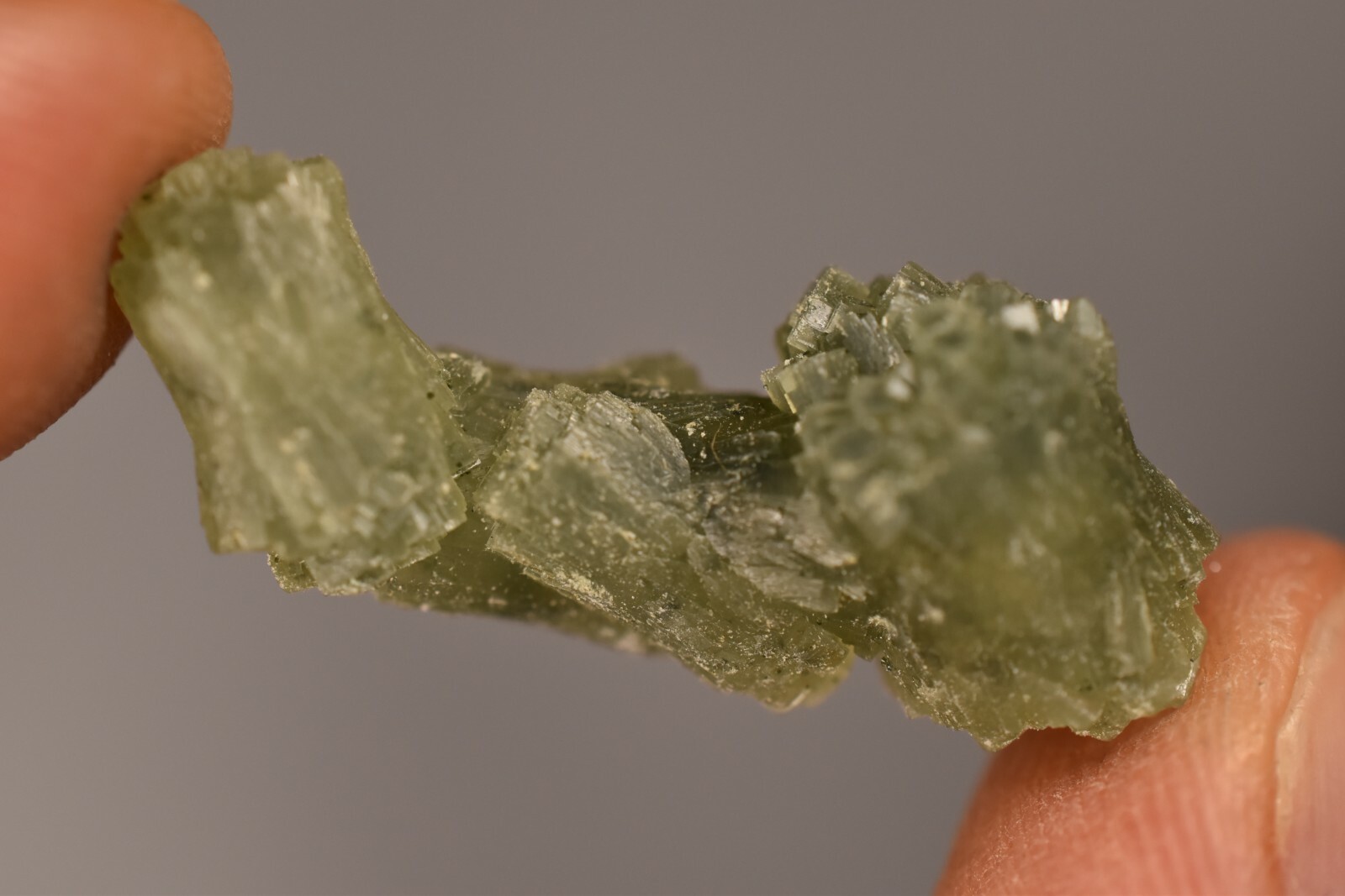 3 *GREEN PREHNITE* Specimen 2-4cm 19.4g Natural Crystal Cluster Rough