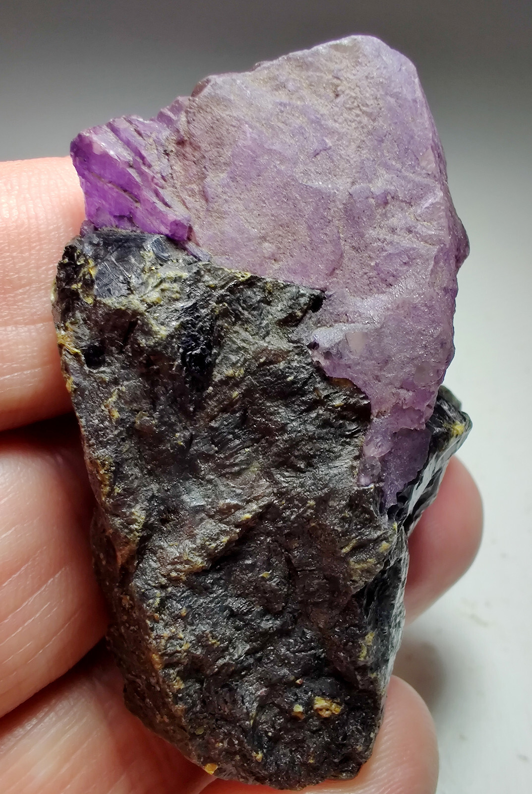 Fluorite on Sphalerite, fluorescent. Elmwood Mine, Tennesee. 87 grams.