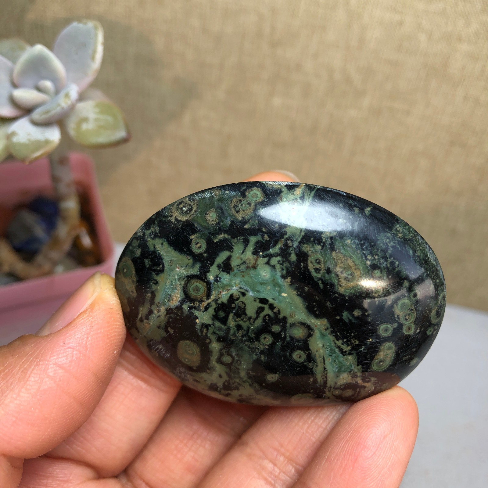 Top Natural Green Kambaba jasper quartz crystal Specimen healing 50g A2601