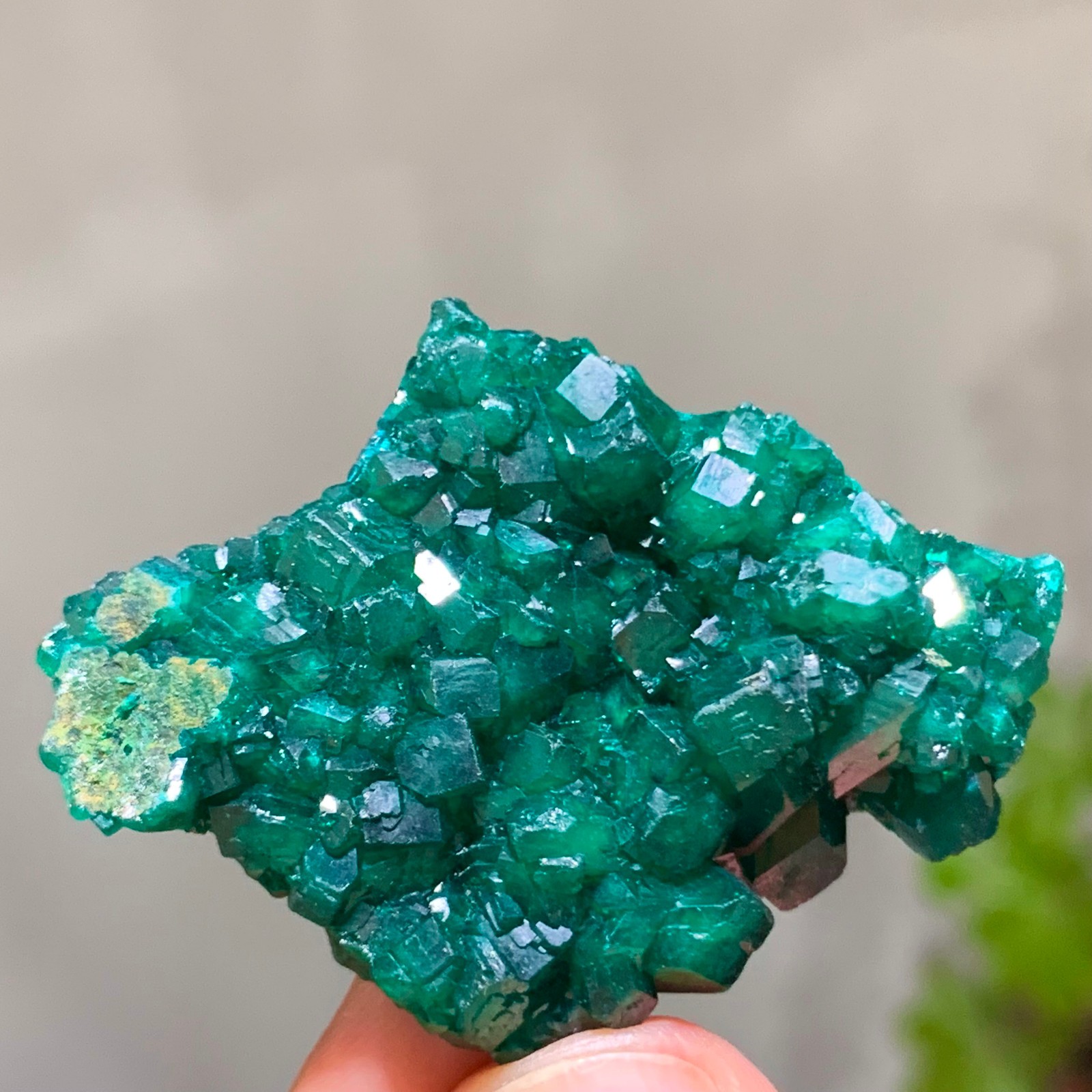 15G Natural green dioptase emerandine gemstone cluster mineral specimen