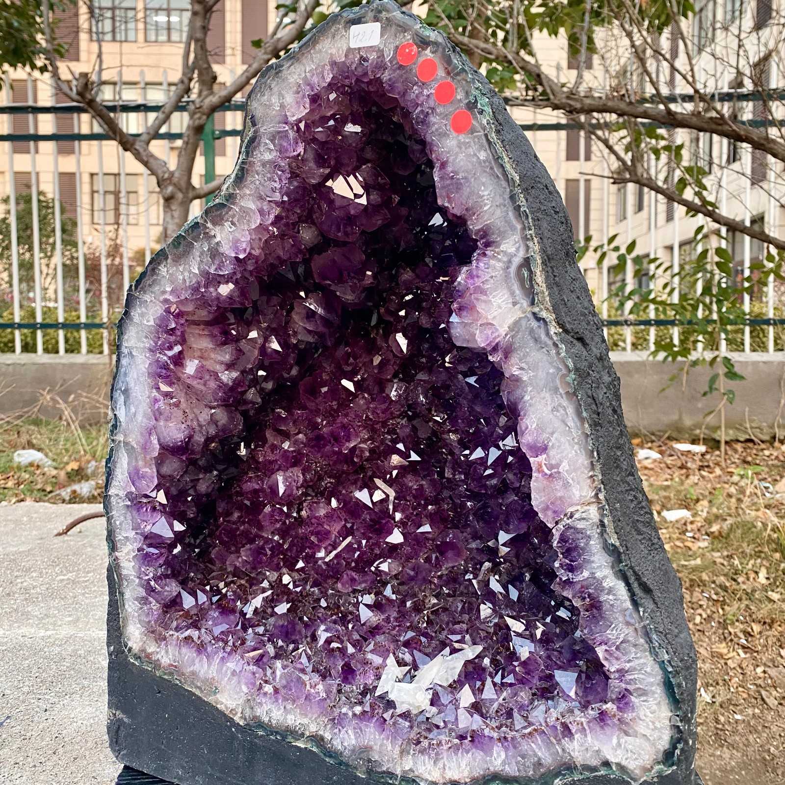 92.8LB Natural Amethyst Geode Quartz Crystal Cluster Cathedral Energy healing