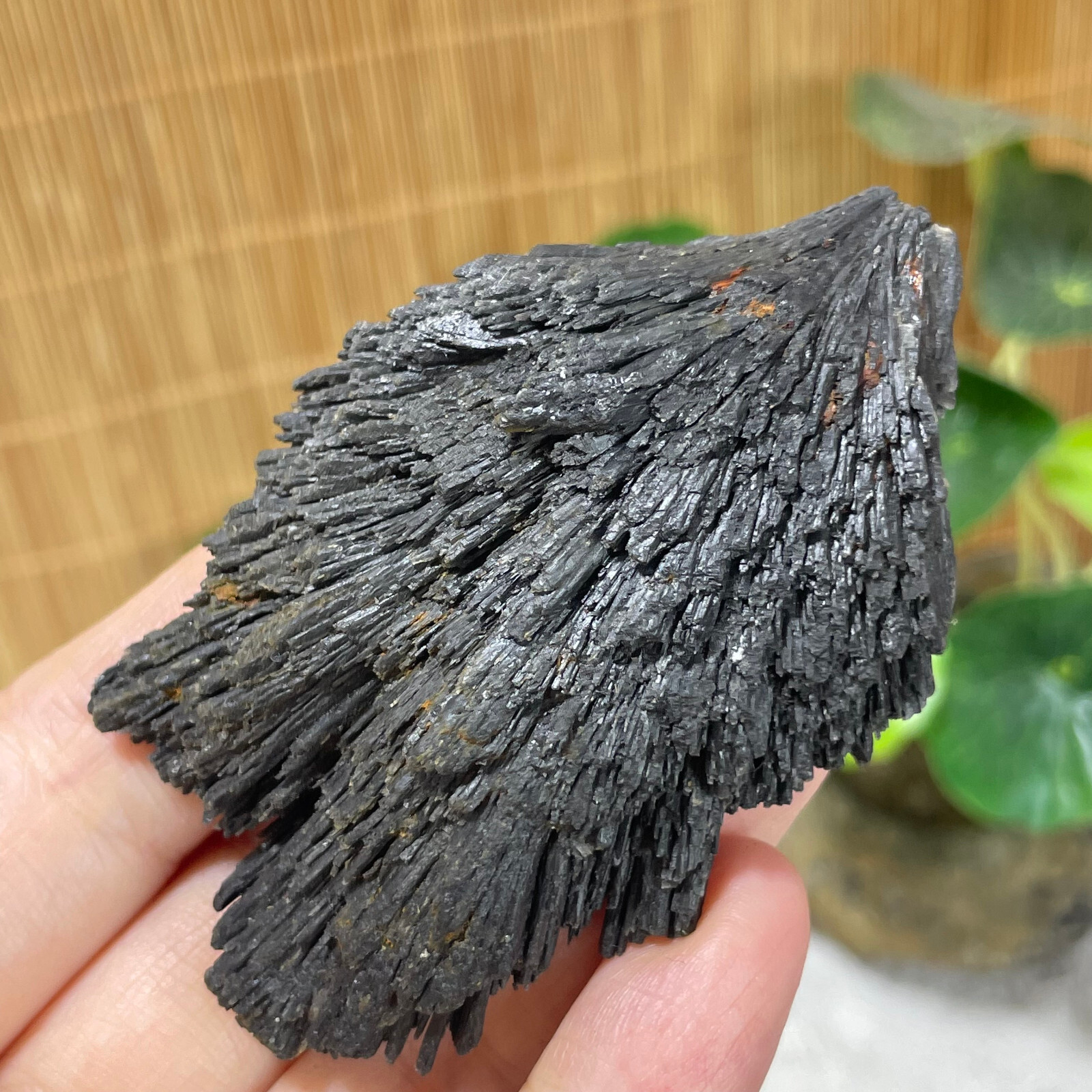 77g Natural Irregular natural black crystal cluster mineral specimen（dian qishi）