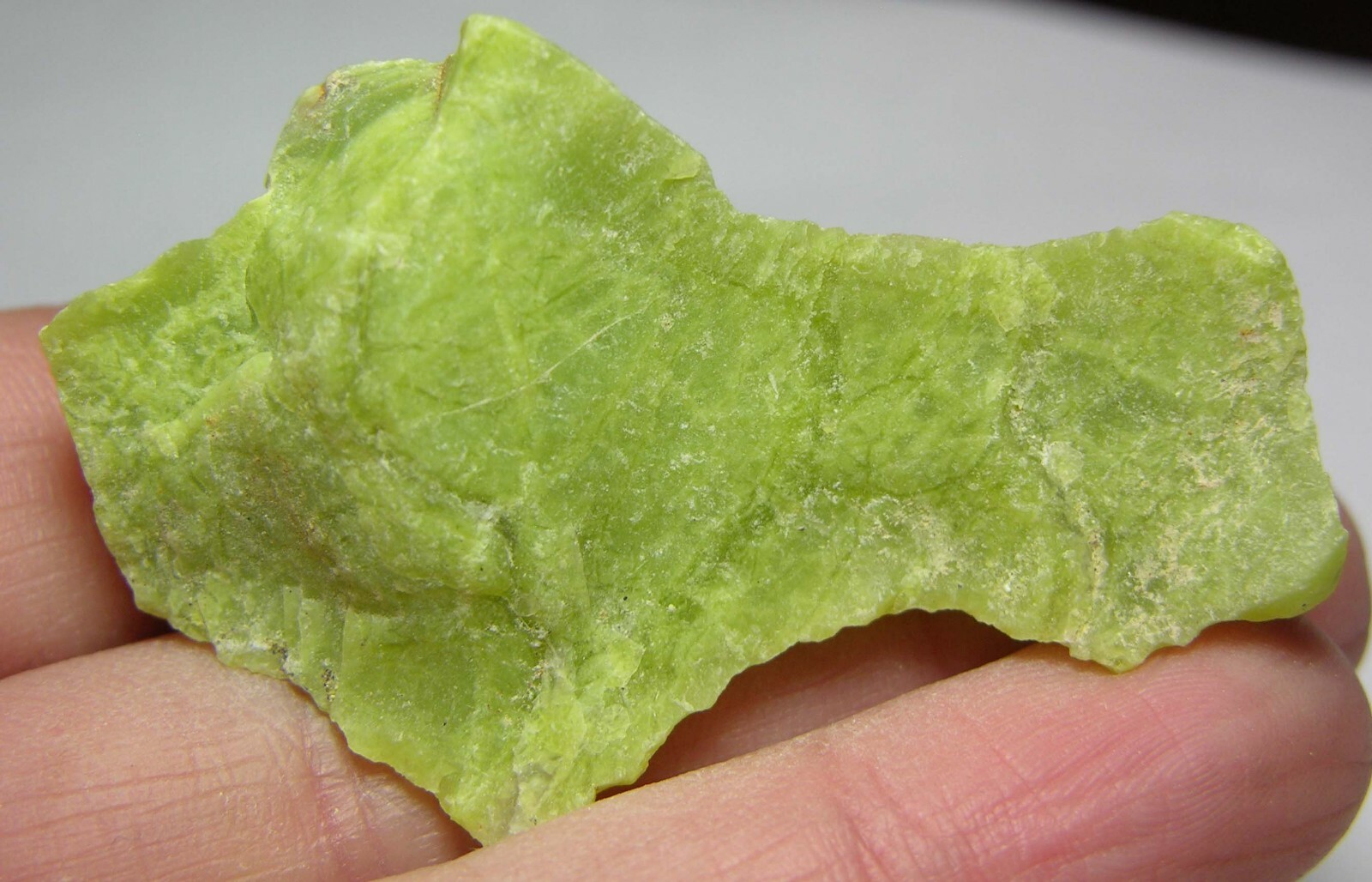 #11 Madagascar 67.70ct 100% Natural Raw Rough Green Opal Specimen 13.50g 51.00mm