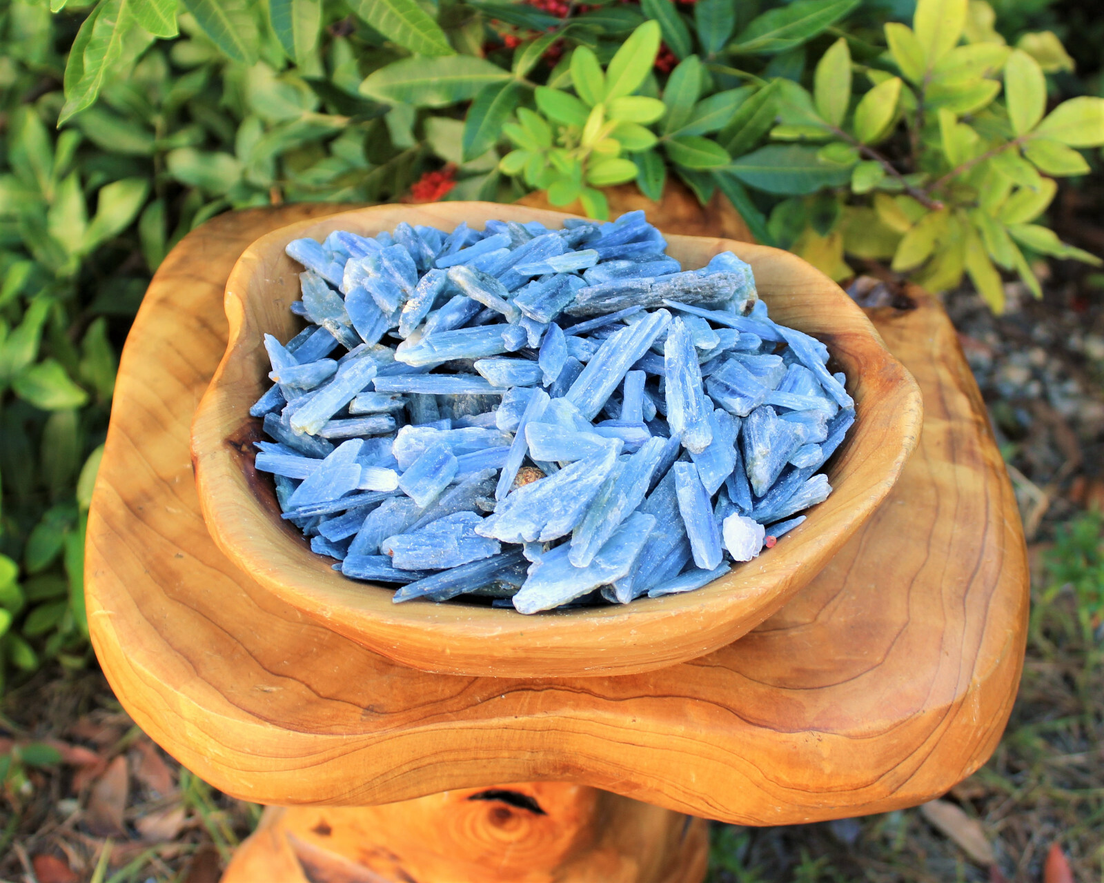 Blue Kyanite Blades Crystal Collection 1/2 lb Box Lot – Natural Kyanite Crystals