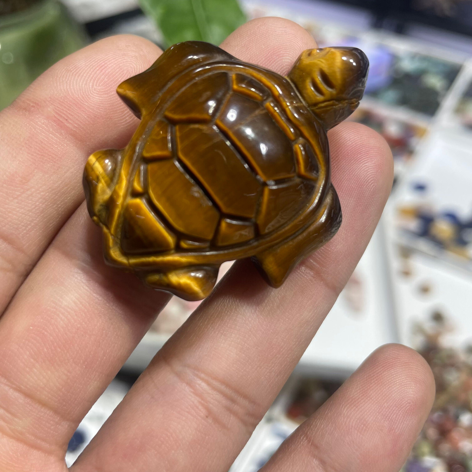 Natural Tiger eye tortoise Quartz Skull Crystal Specimen Reiki Healing Gift 1PC