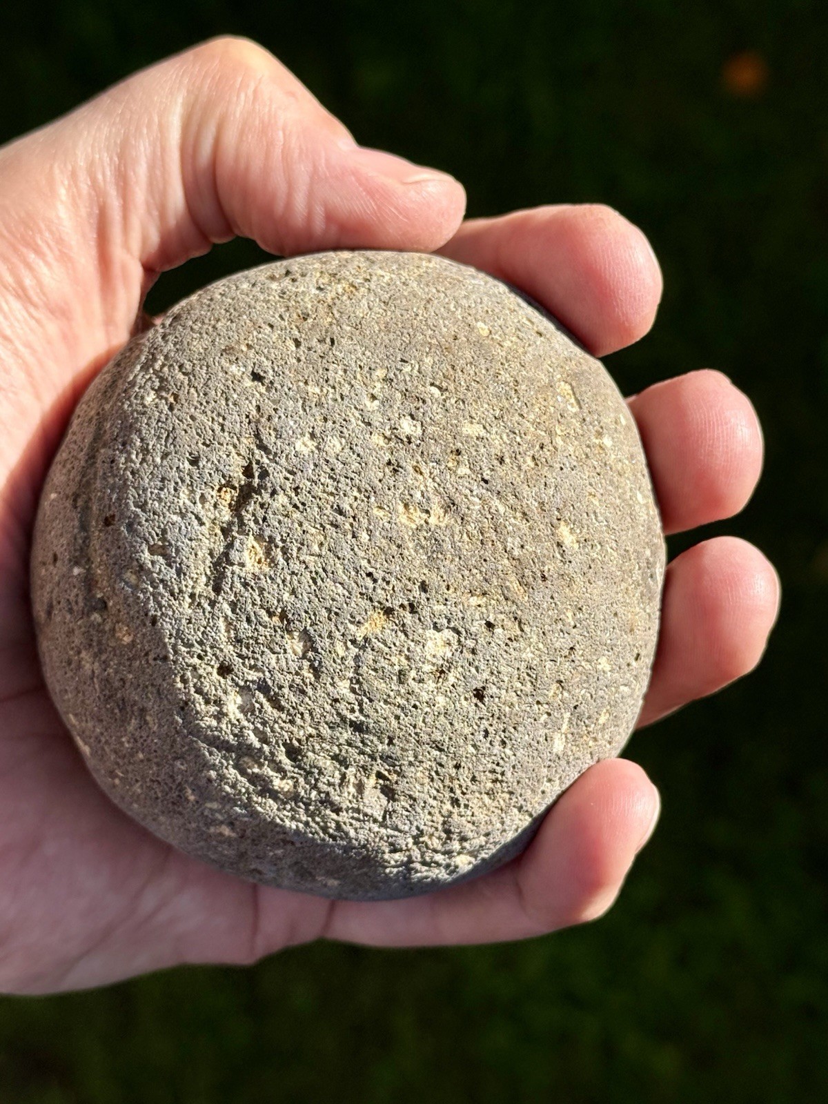 NATURAL SPHERICAL RHYOLITE OR SANDSTONE? CONGLOMERATE ROUND SPHERE STONE ROCK CA