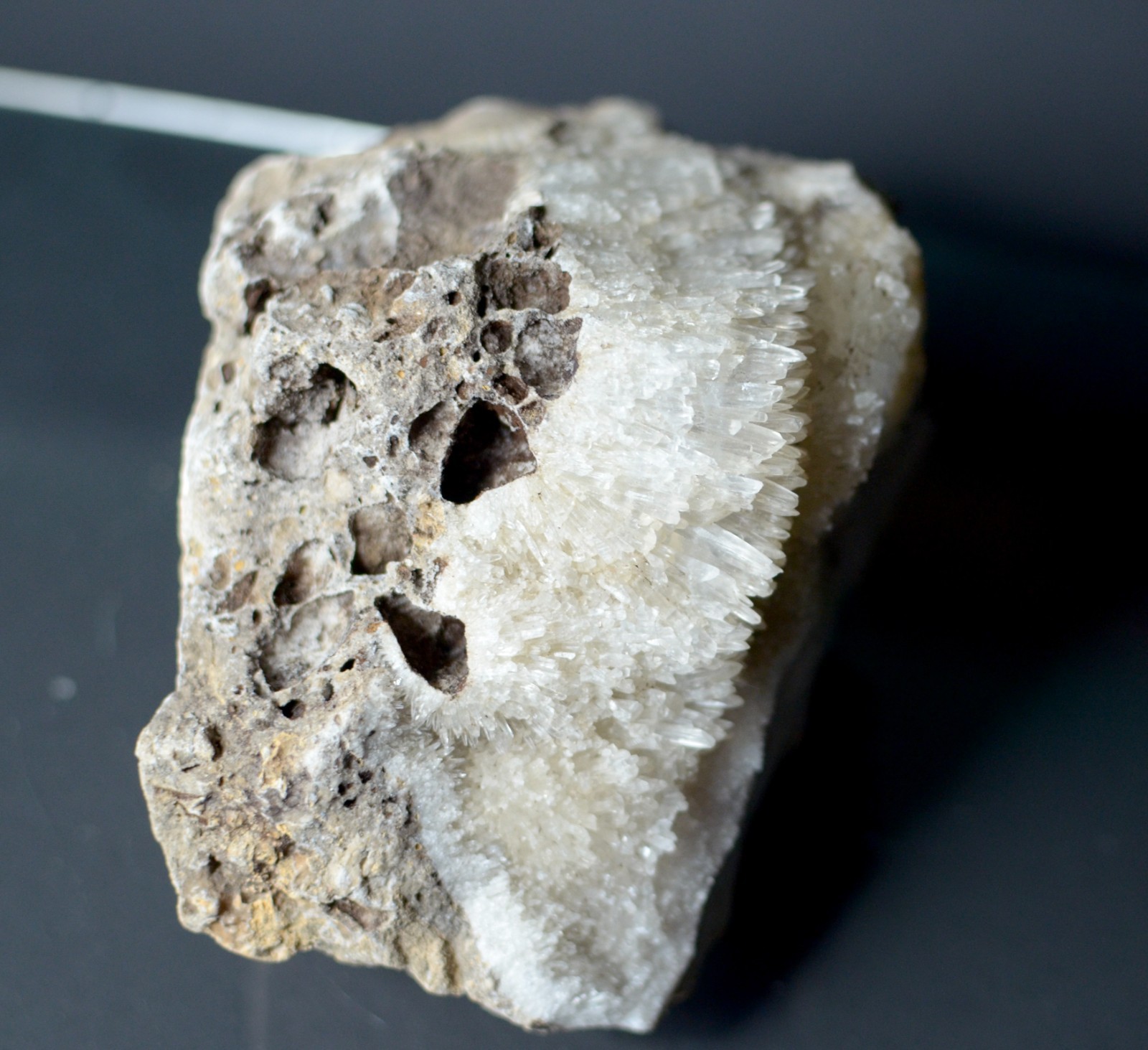 Fluorescent Aragonite Needle Spray in Fossil Matrix | Crystal River, Florida