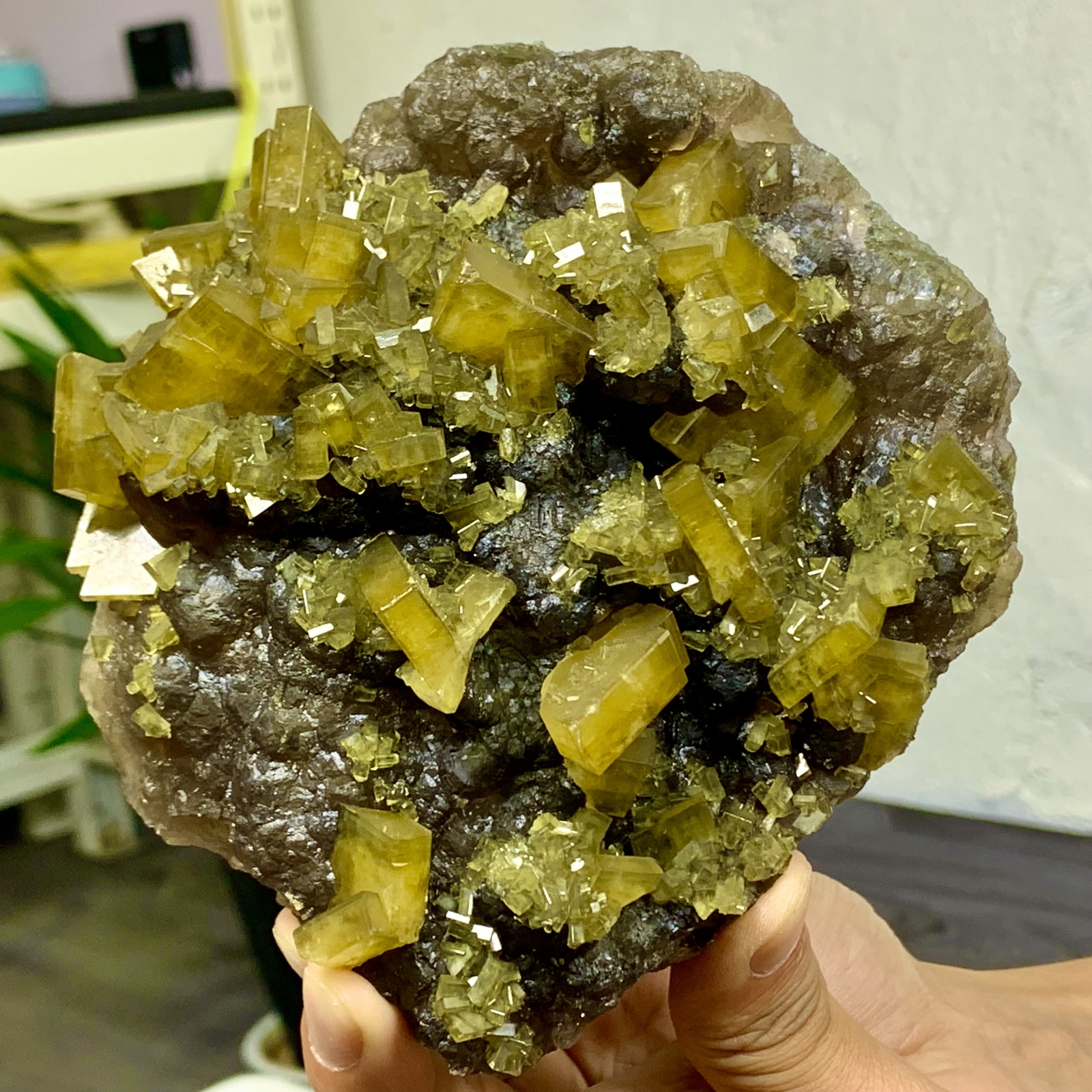 2.76LB Shiny Golden Cuboid Barite Crystal Based on the Purple Spherical Fluorite