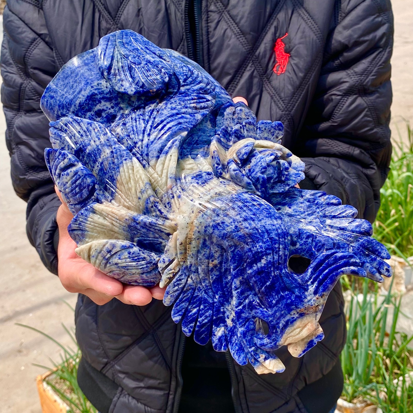 7LB Natural Blue Texture Crystal Carving Phoenix Rose Spiritual Energy