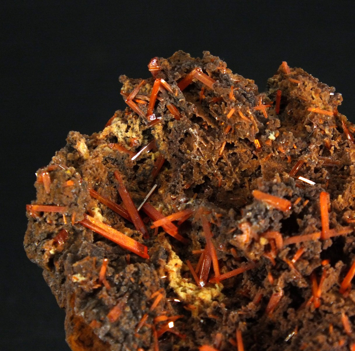 Crocoite Crystals. Adelaide Mine Dundas. Tasmania Australia (EA11520)