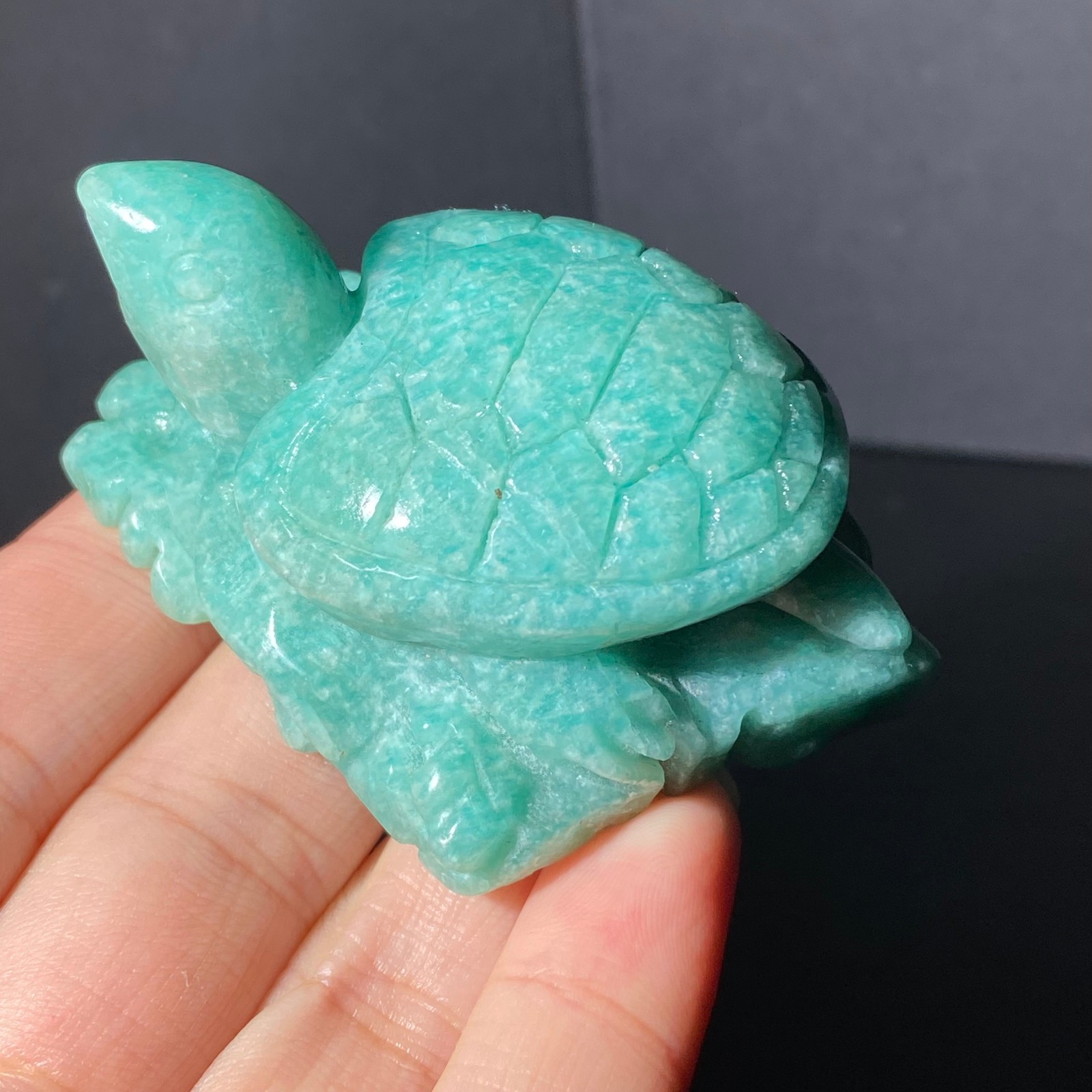 108G Natural Tianhe stone Turtle Quartz Tortoise Carved Crystal Skull Healing