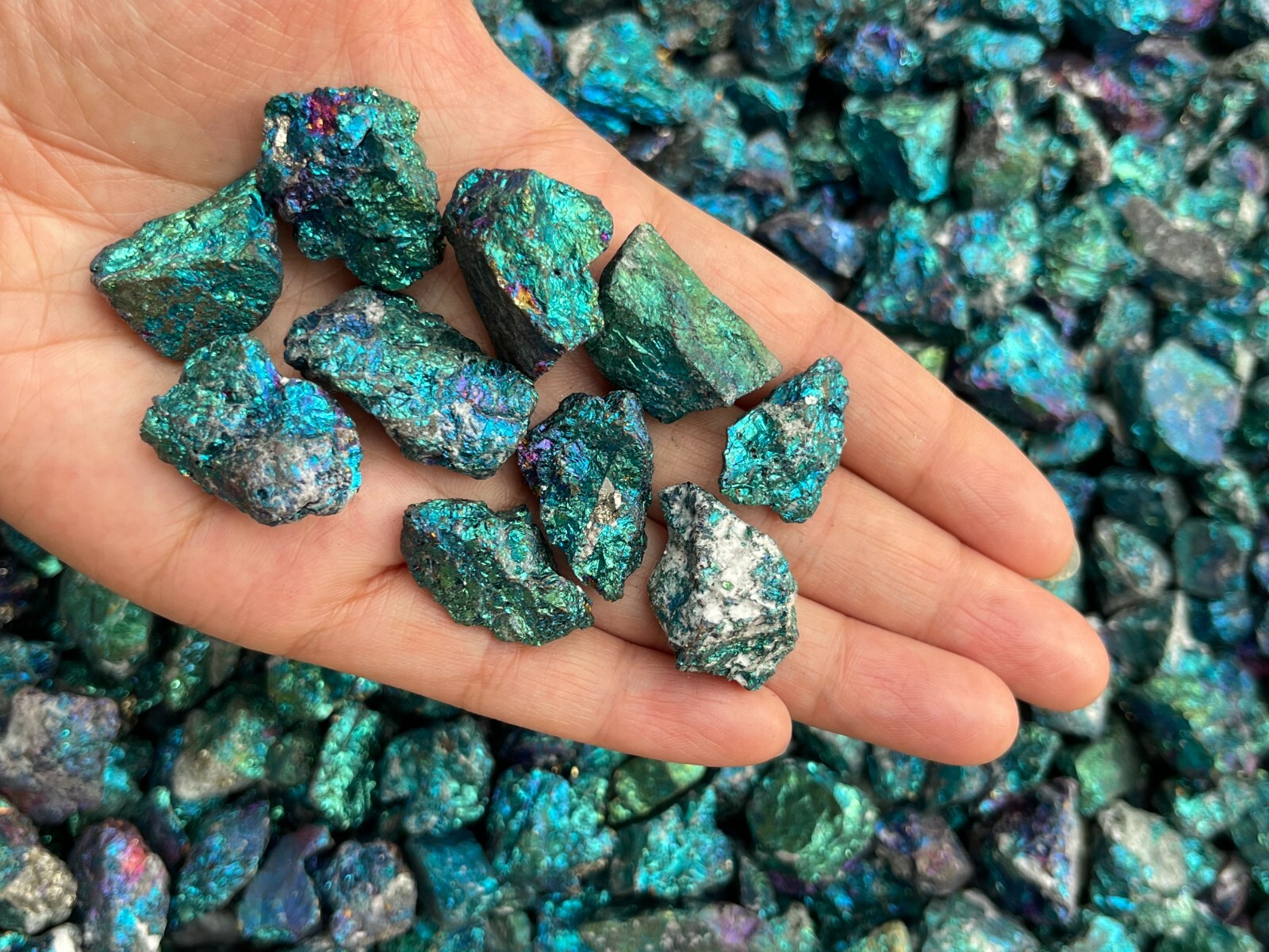 Grade A++ Small Chalcopyrite Natural Stone, Raw Peacock Ore, Wholesale Bulk Lot