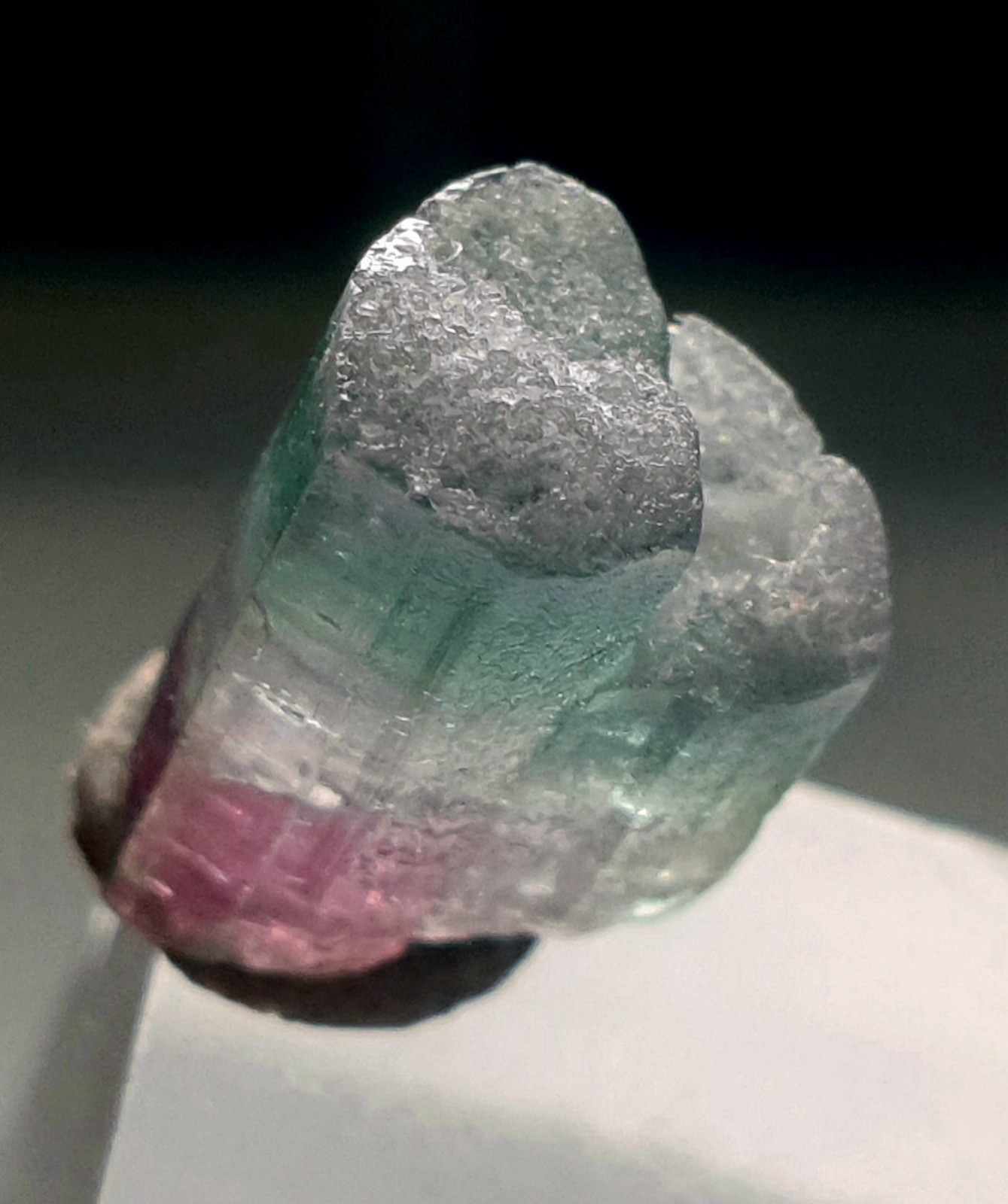 Saturated Top Quality Twin MultiColour Watermelon Terminated Tourmaline Crystal