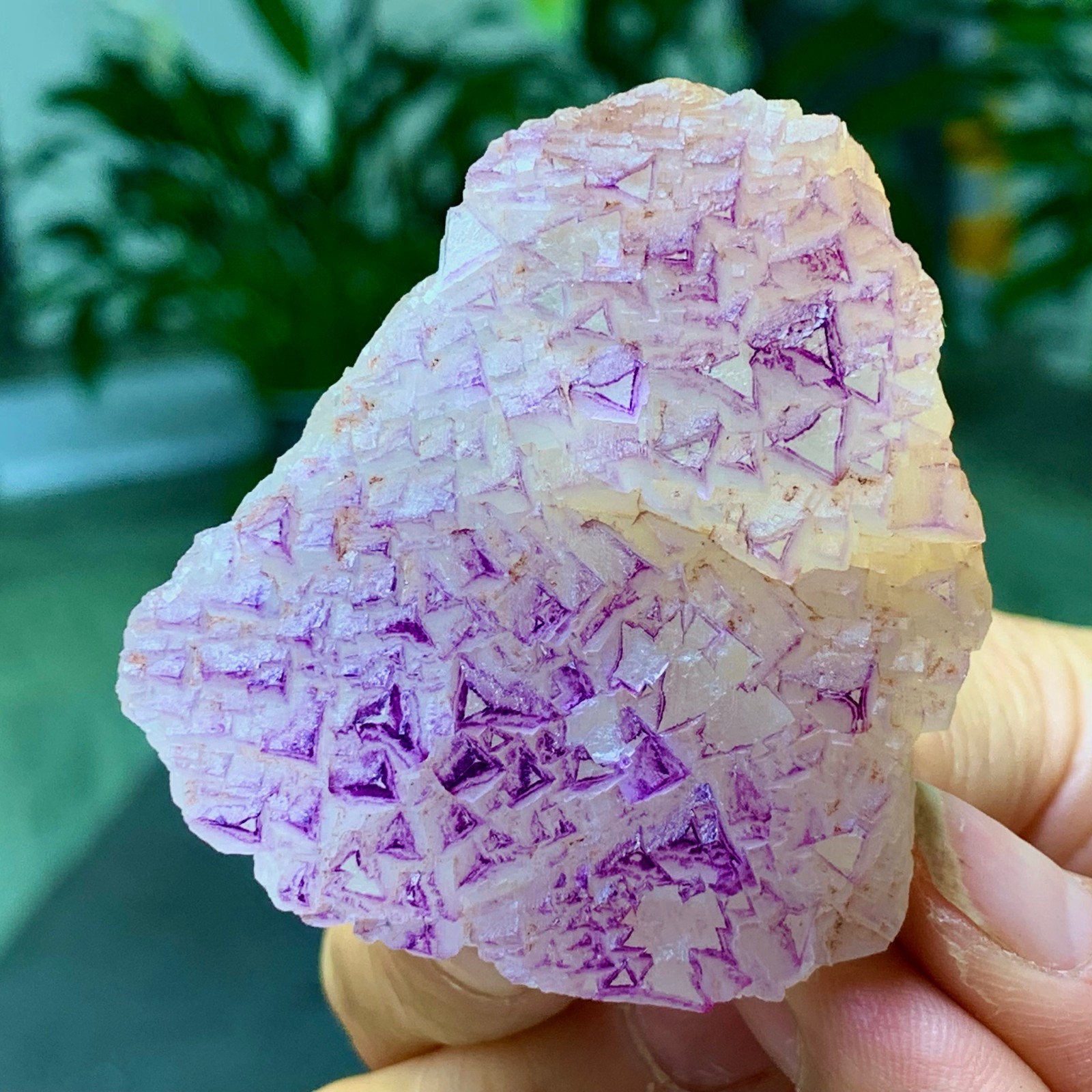 100G Natural fluorite purple edged cubic crystal mineral sample