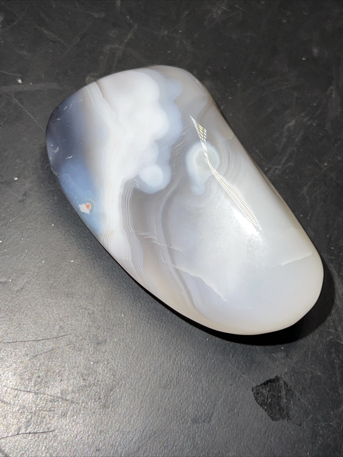 Botswana Agate Palm Stone 2.28in x 1.25in x .84in