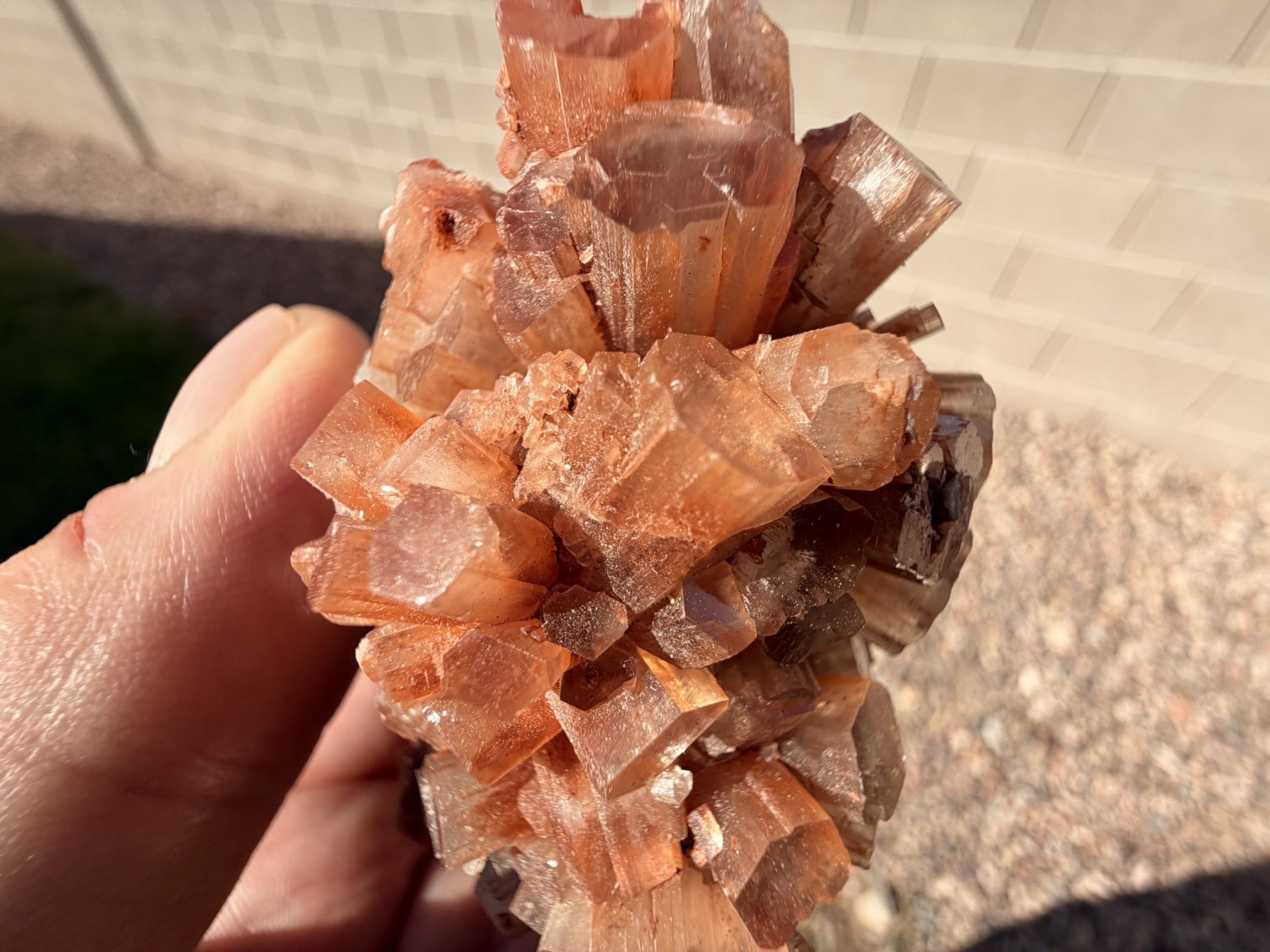 Natural Red Aragonite Crystal Cluster Specimen From Morocco, 194.4g, 4.5 Inches