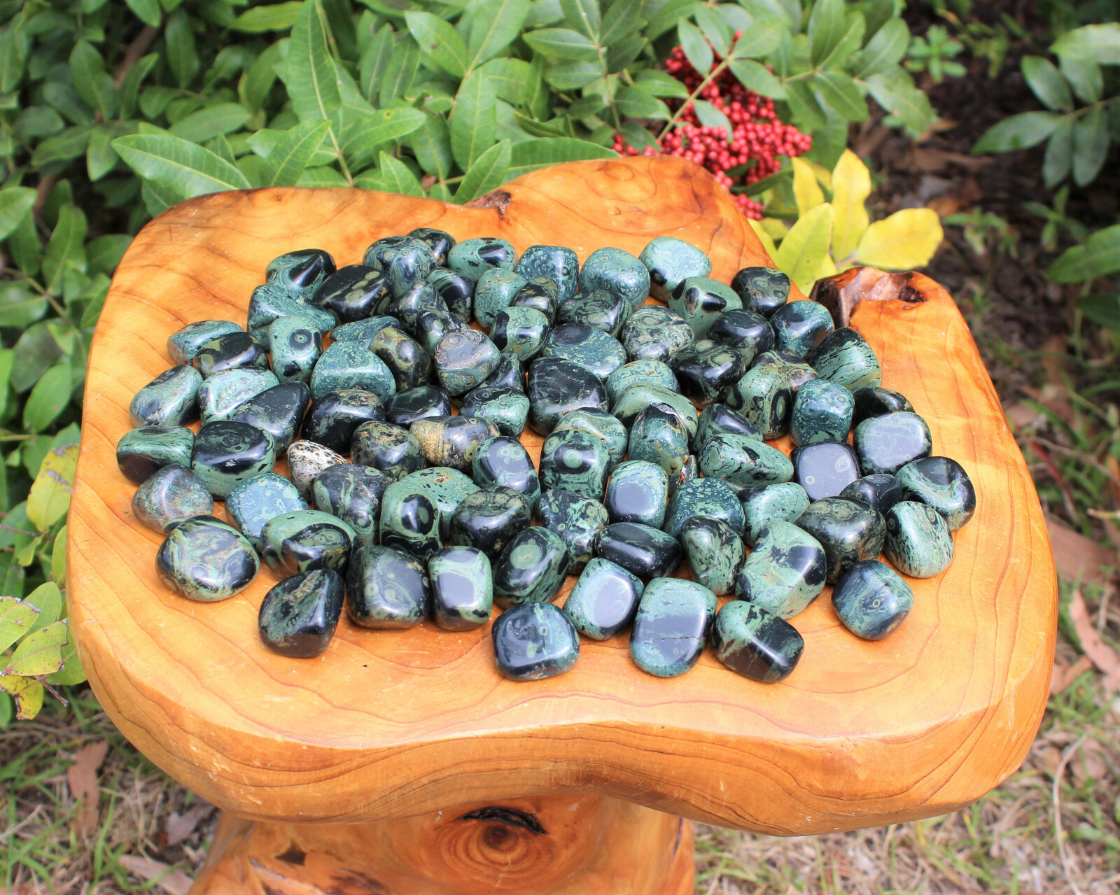 Kambaba Jasper Tumbled: Choose How Many Pieces (Tumbled Crocodile Jasper)