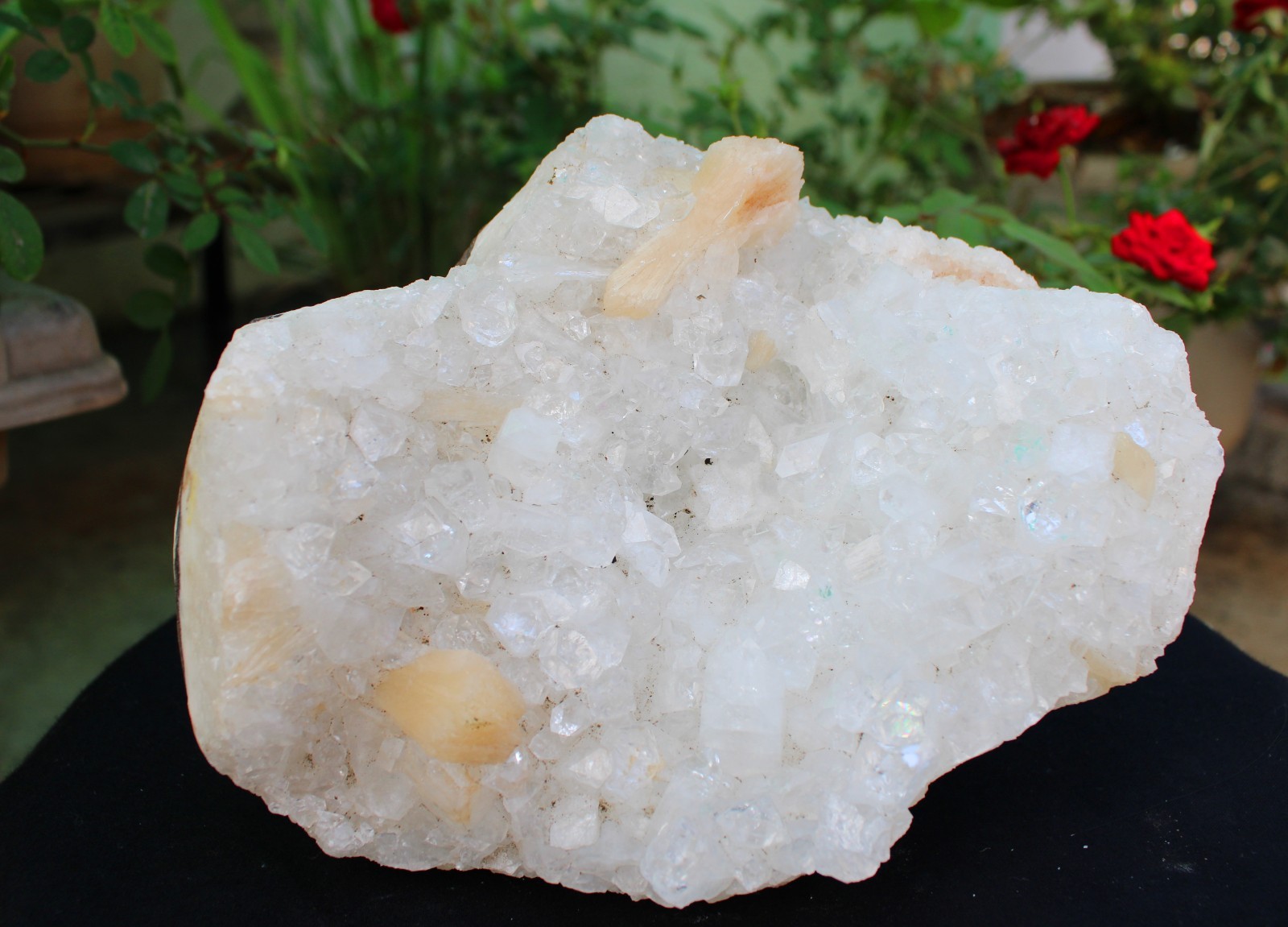 APOPHYLLITE CRYSTALS w/ STILBITE ON MATRIX MINERALS SPECIMEN