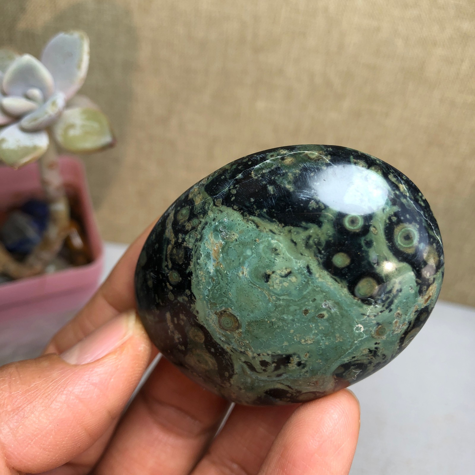 Top Natural Green Kambaba jasper quartz crystal Specimen healing 50g A2601