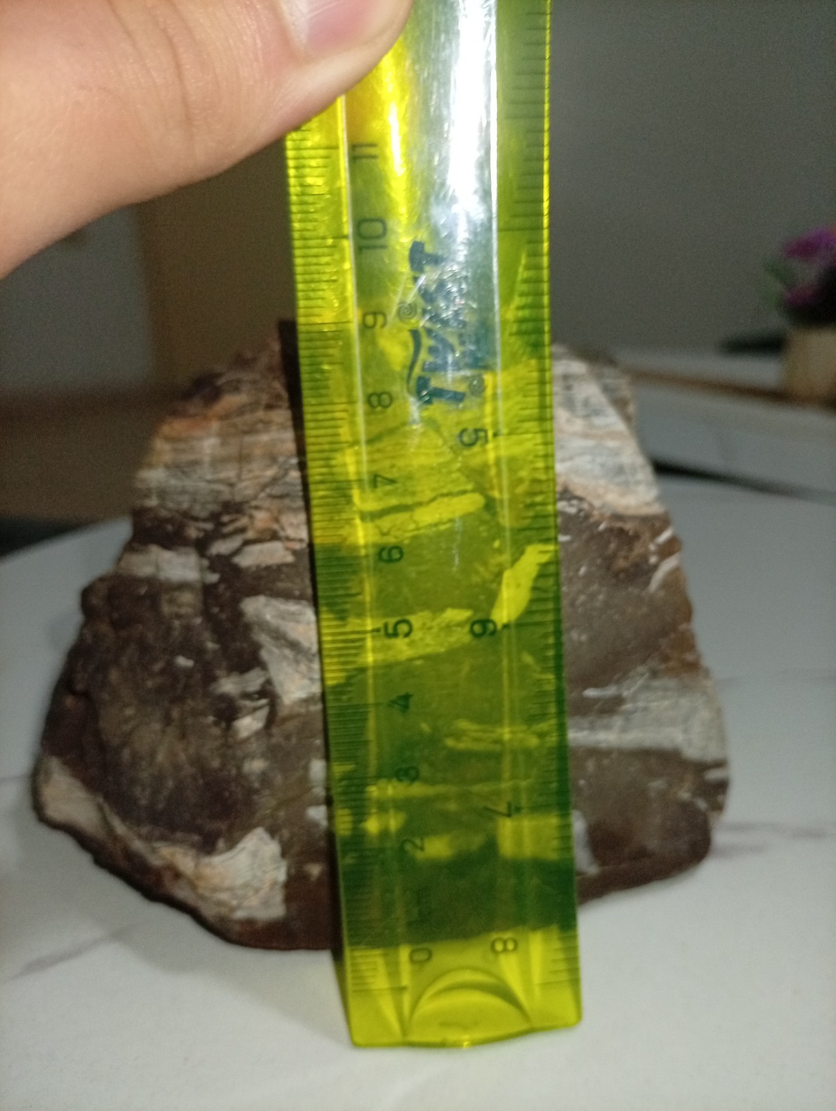 A uniquefresh looking stonea magnificent sedimentary rock from the lowest