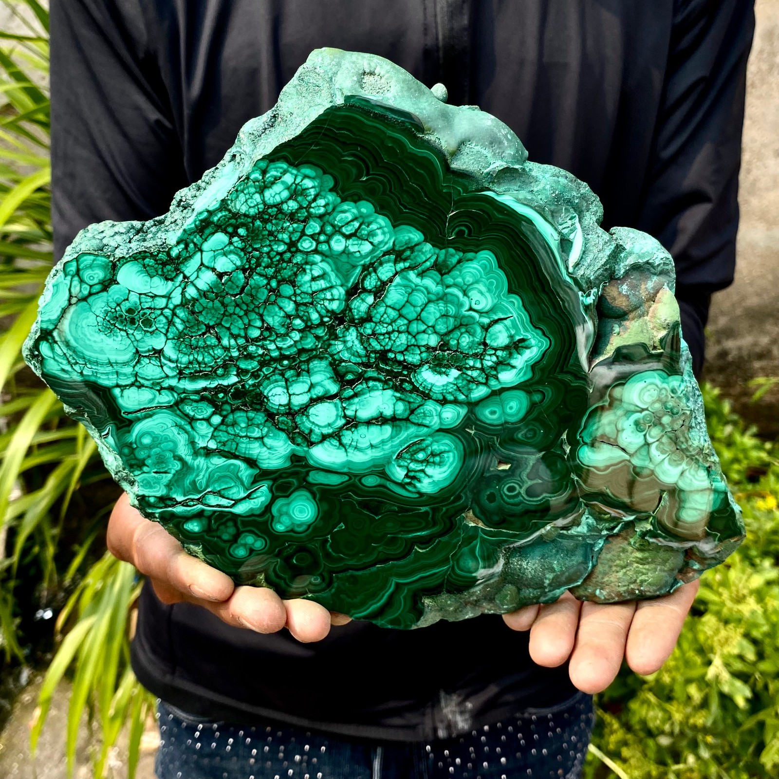 3.61LB Natural malachite slice quartz crystal luster mineral specimen