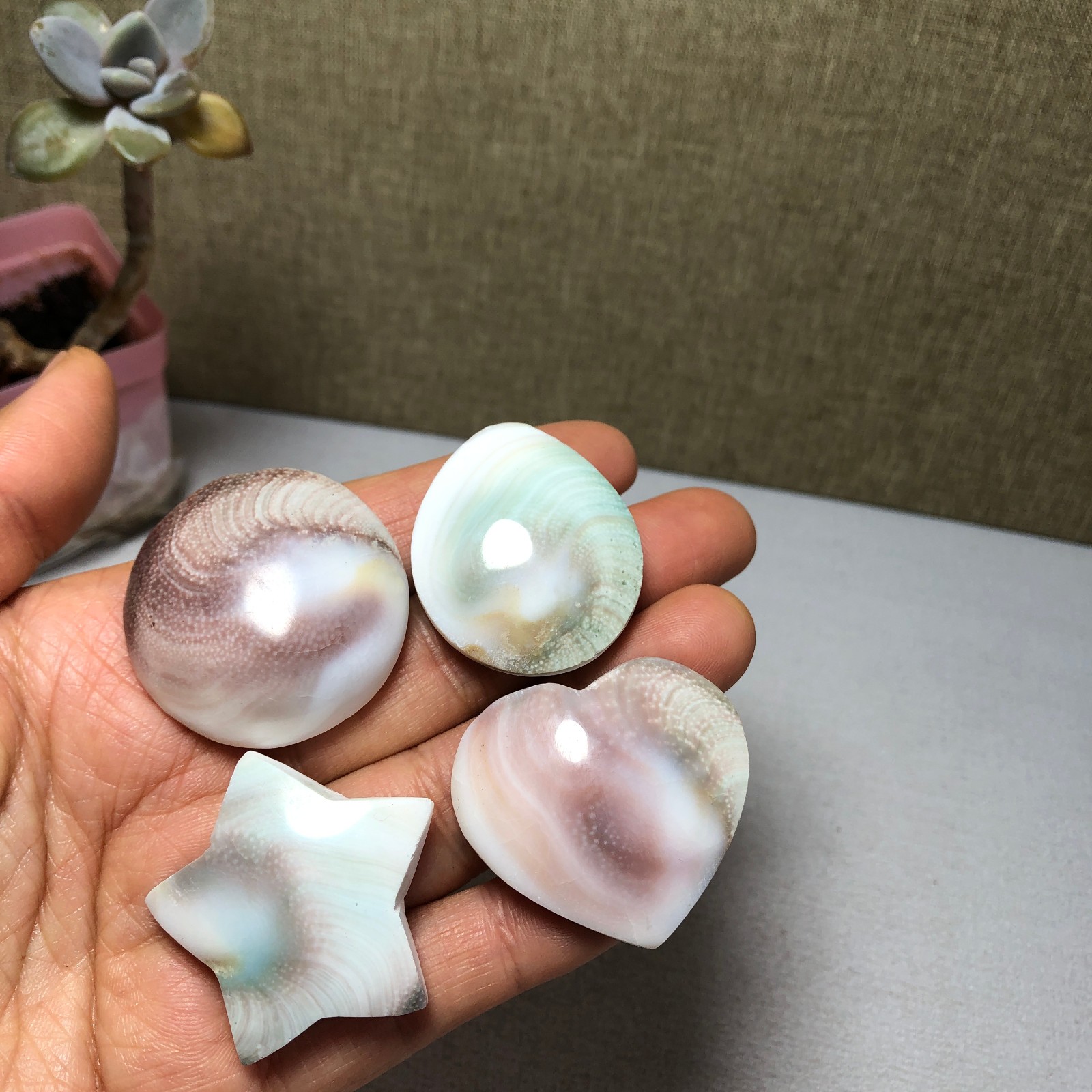 4pcs Rare sun shell Reiki Shiva Eye ocean semi-precious stone 72g A2756