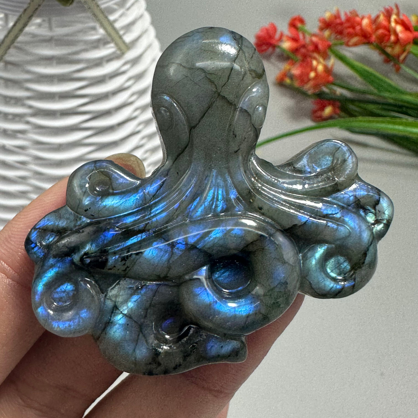 Natural Labradorite Carved OCTOPUS Quartz Skull Crystal Specimen Reiki Healing
