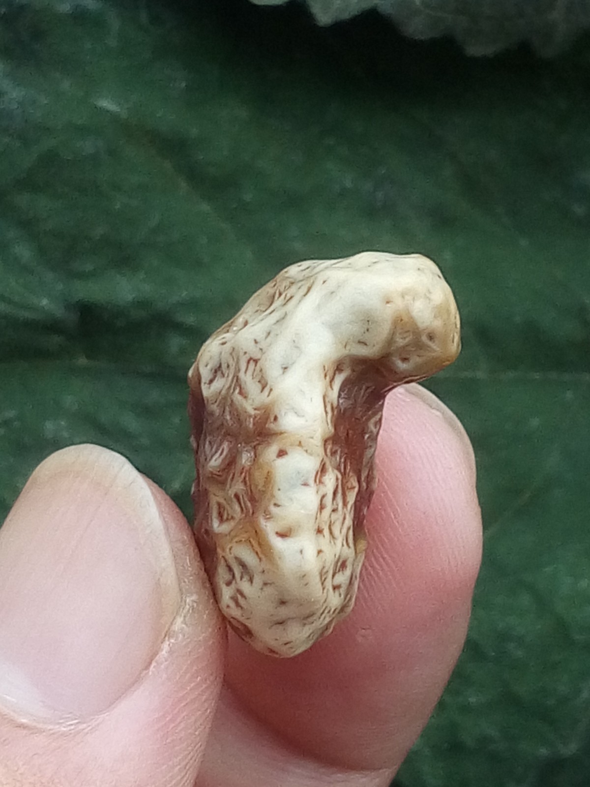 26mm Beautiful Natural GoBi agate veins agate collection