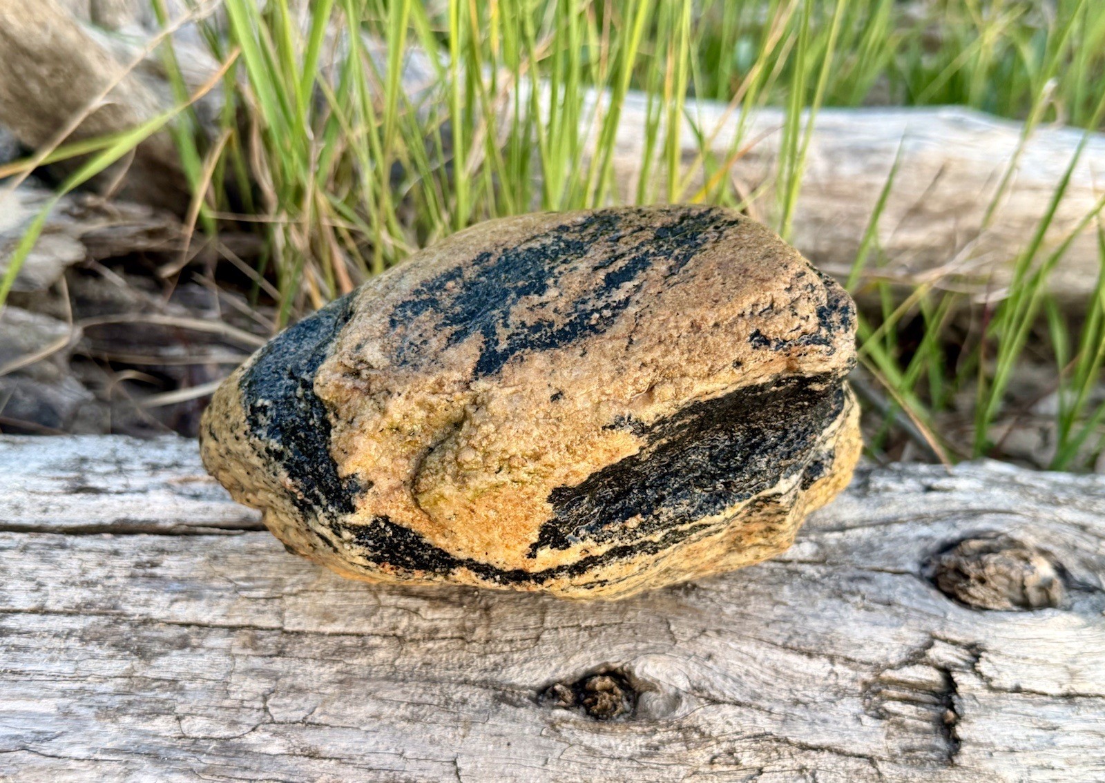 Natural Lake Michigan Rock Granite Large LOOK! 👀 3lb+ READ CAREFULLY