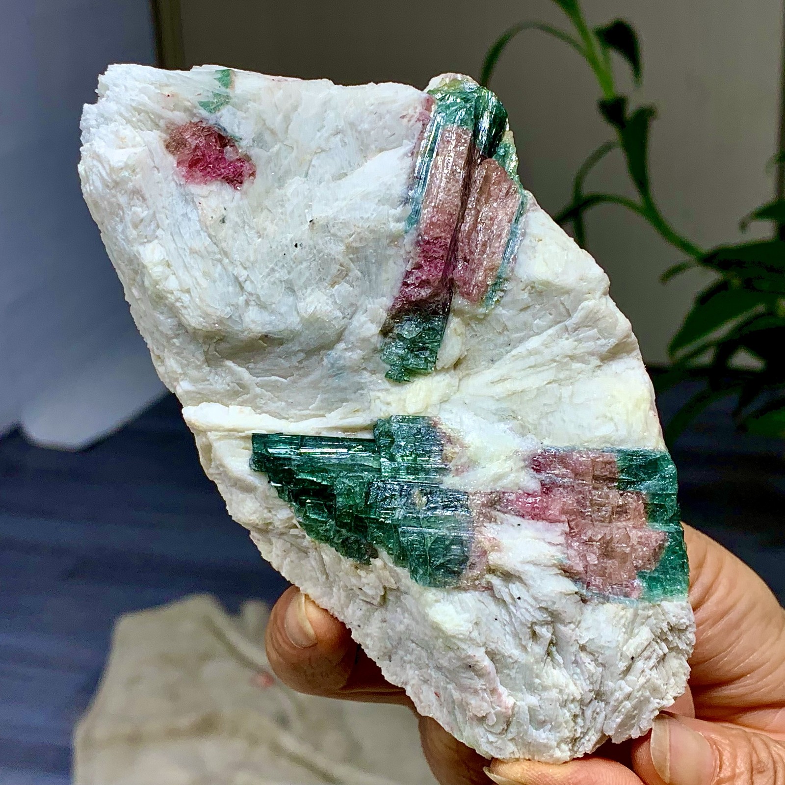 449G Natural pink-green tourmaline quartz crystal cluster mineral specimen