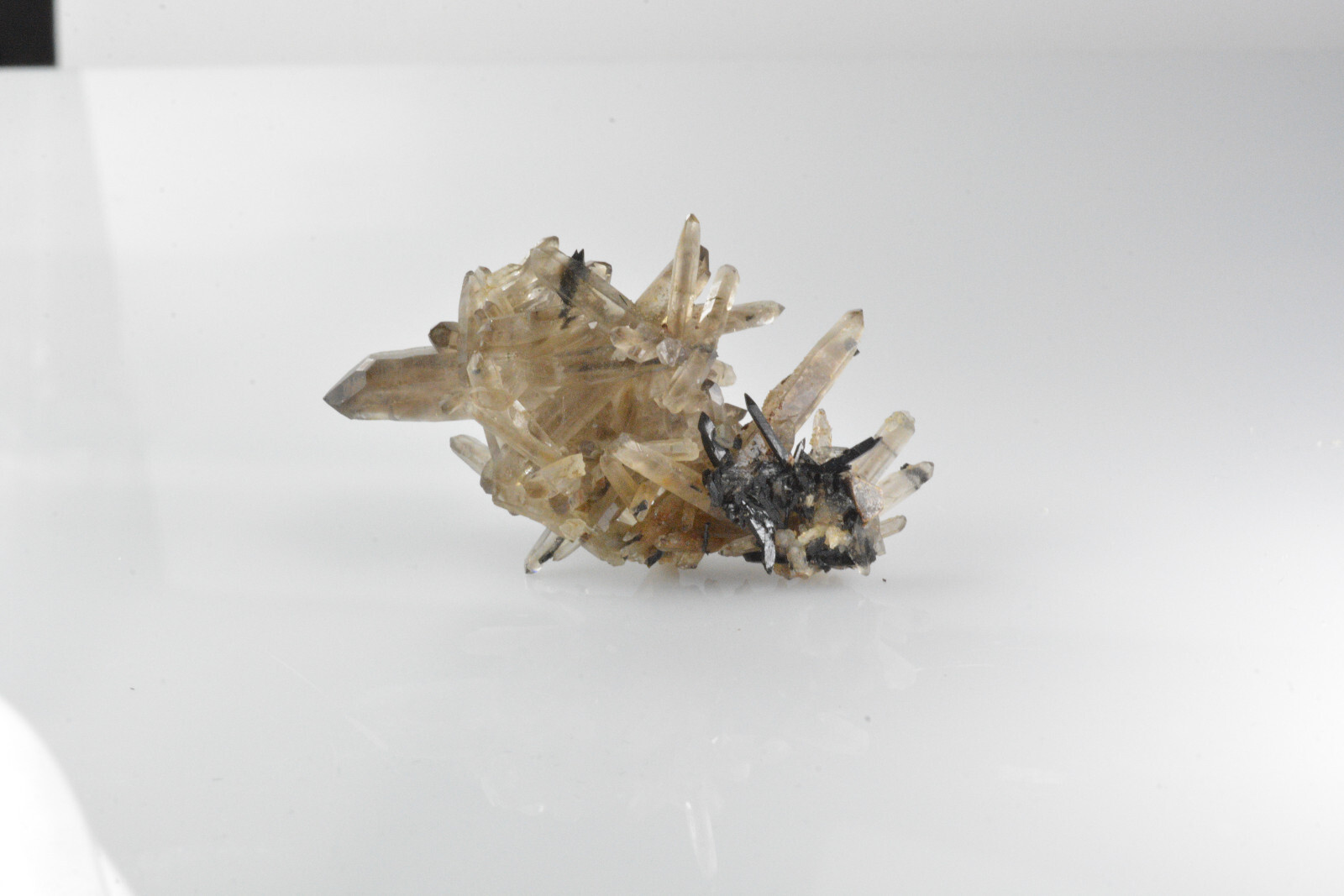 Smoky Quartz, Aegirine Mt Malowsa, Malawi 49x34mm