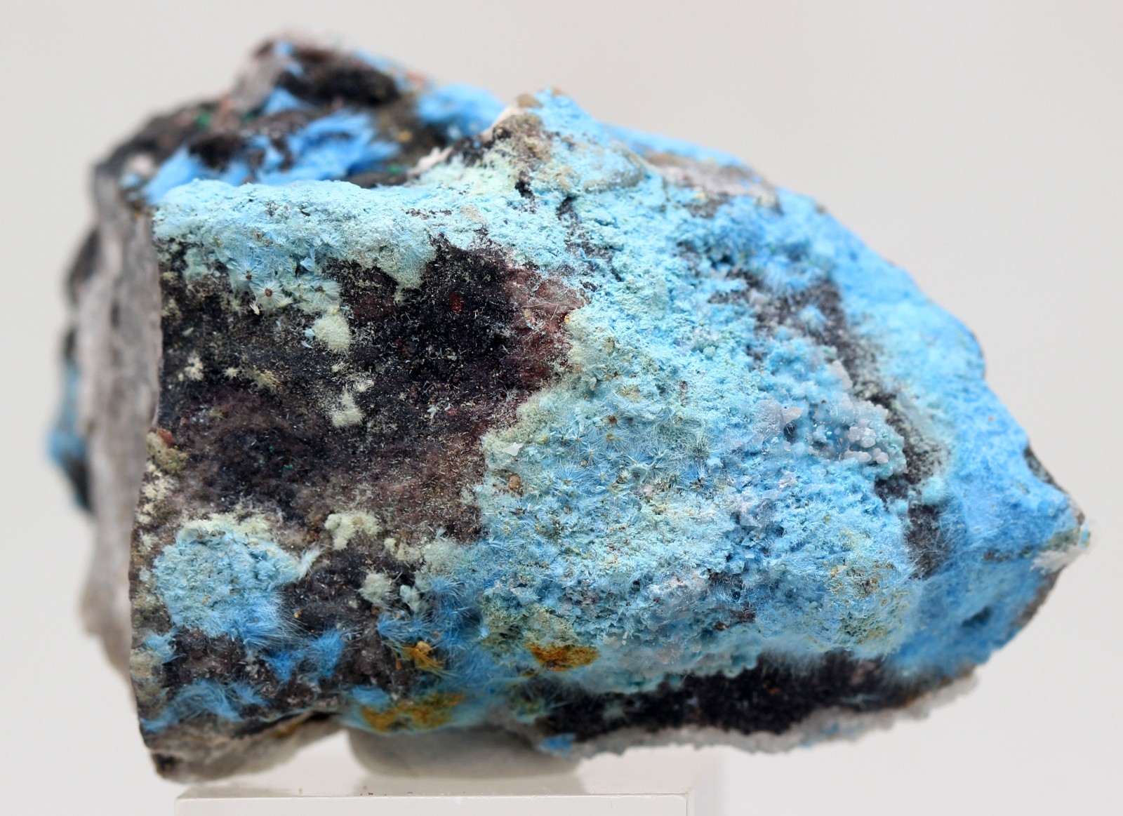 CYANOTRICHITE Crystal Spray Cluster Mineral Specimen GUIZHOU CHINA
