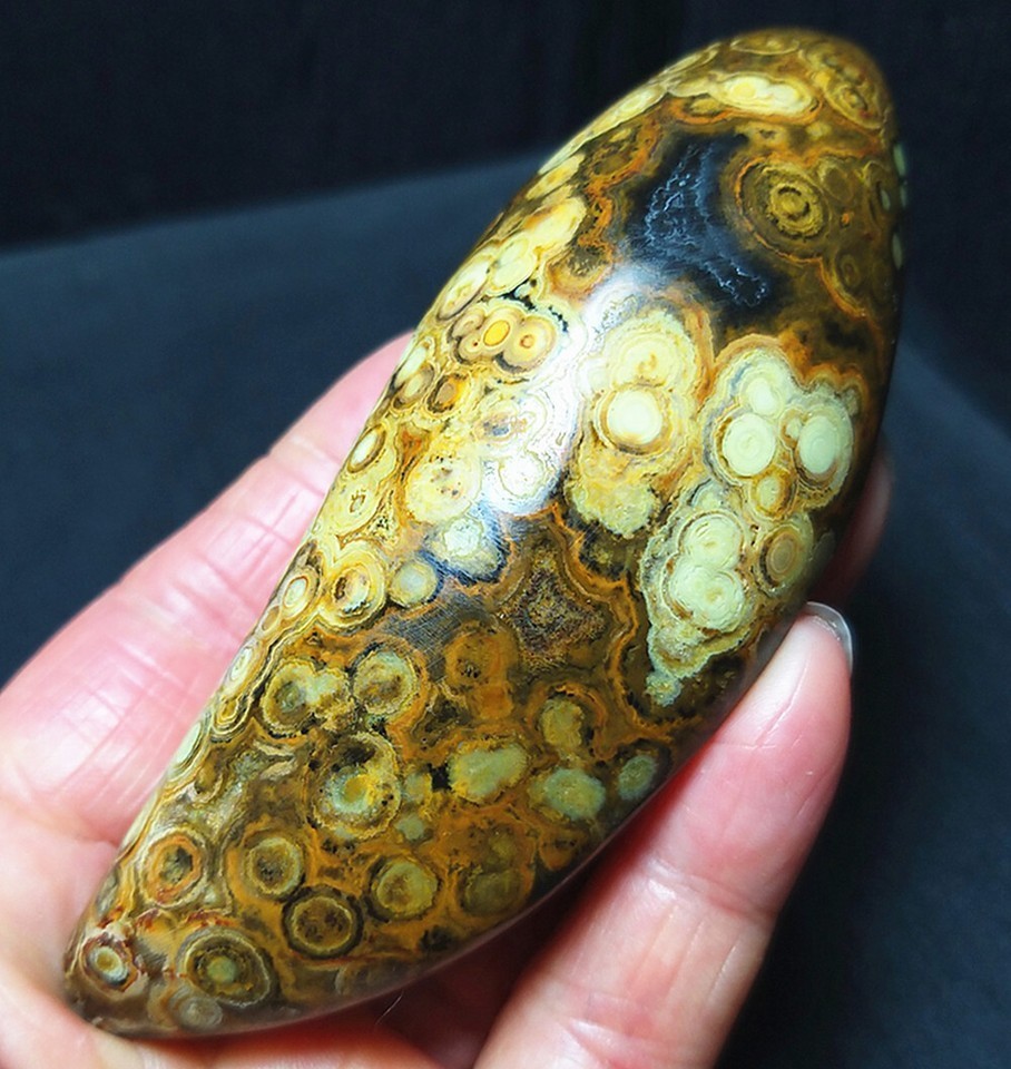 Rare 204G 1 Pair Natural Inner Mongolia Gobi Eye Agate Geode Collection CAa2594