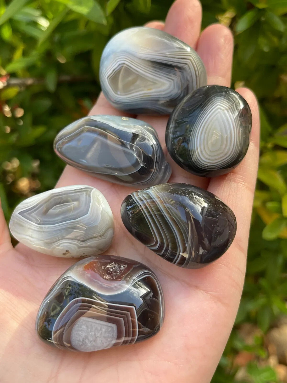 Grade A++ Botswana Agate Pebble, Botswana Agate Palm Stones, Wholesale Bulk Lot