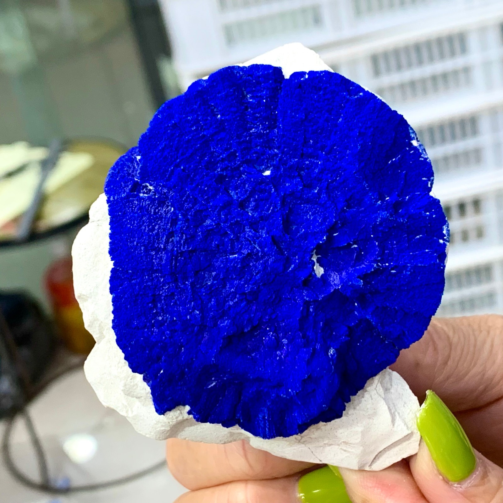 147G Sunflower azurite Fantastic Azurite Suns On Kaoline from Malbunka Australia