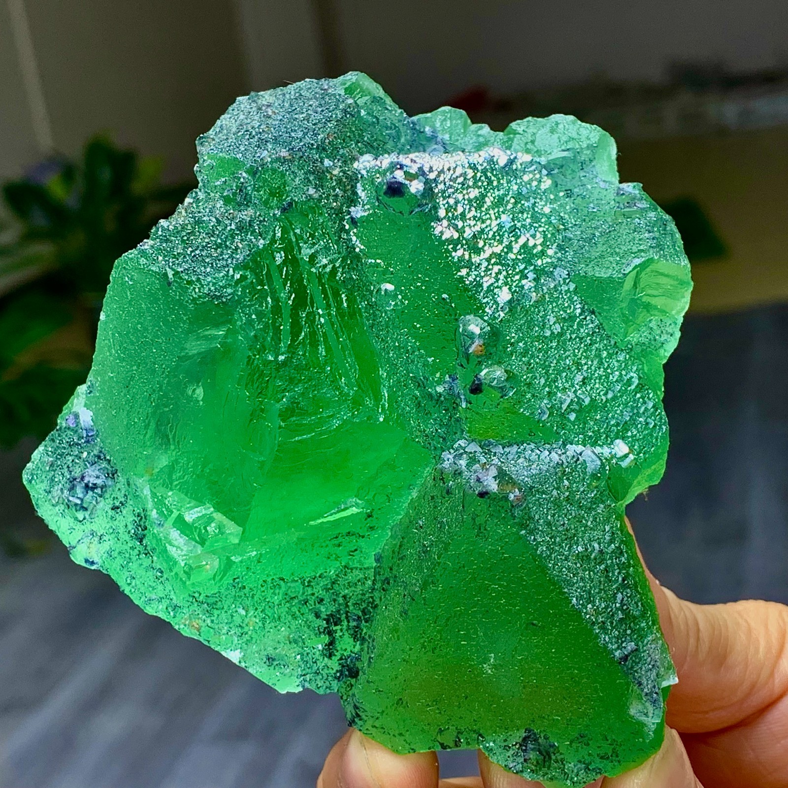1.24LB Rare transparent green cubic Zhejiang fluorite mineral sample