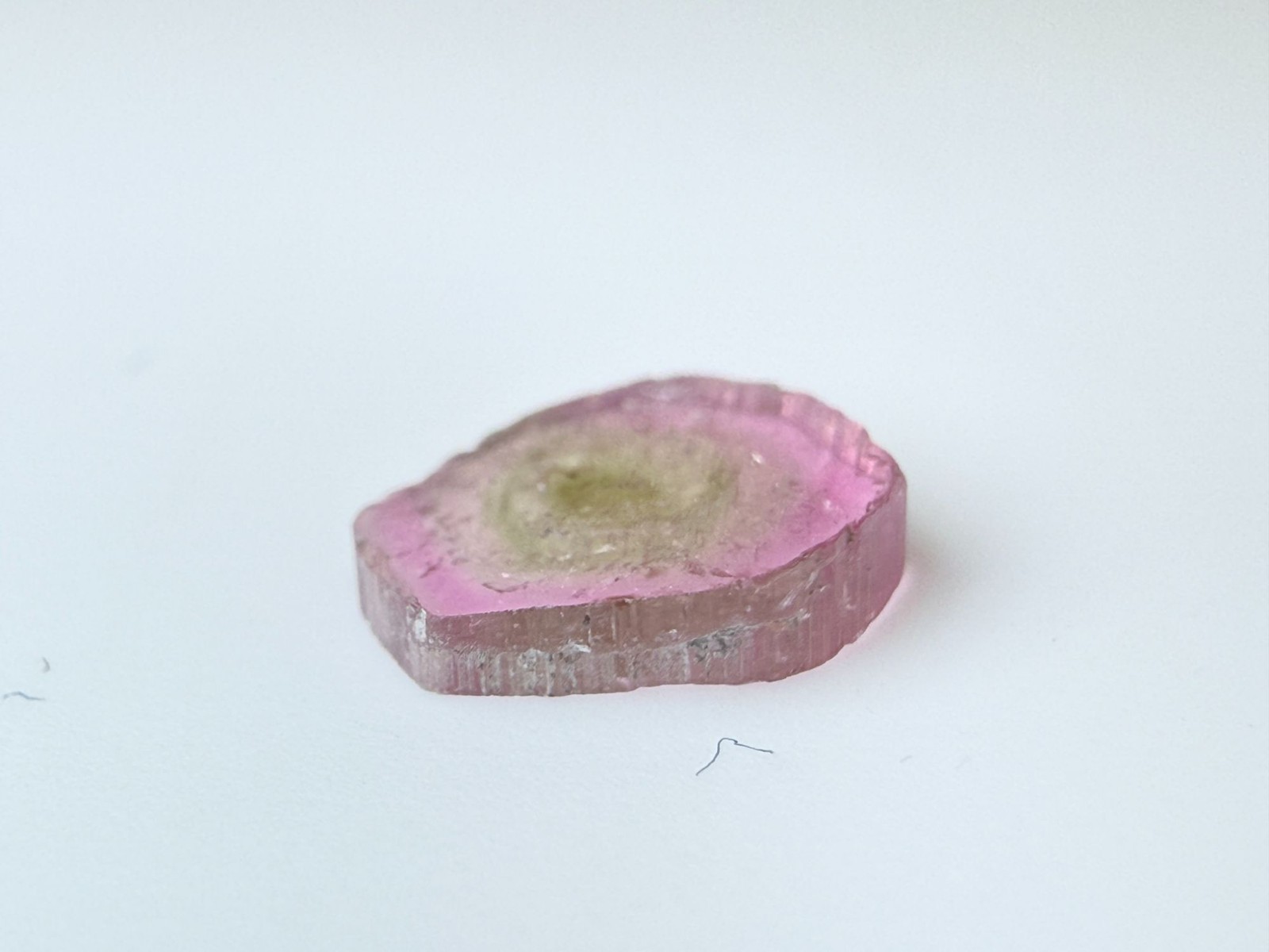 Watermelon Tourmaline Slice Specimen .835 ct 7.35mm Max Length Natural Shape