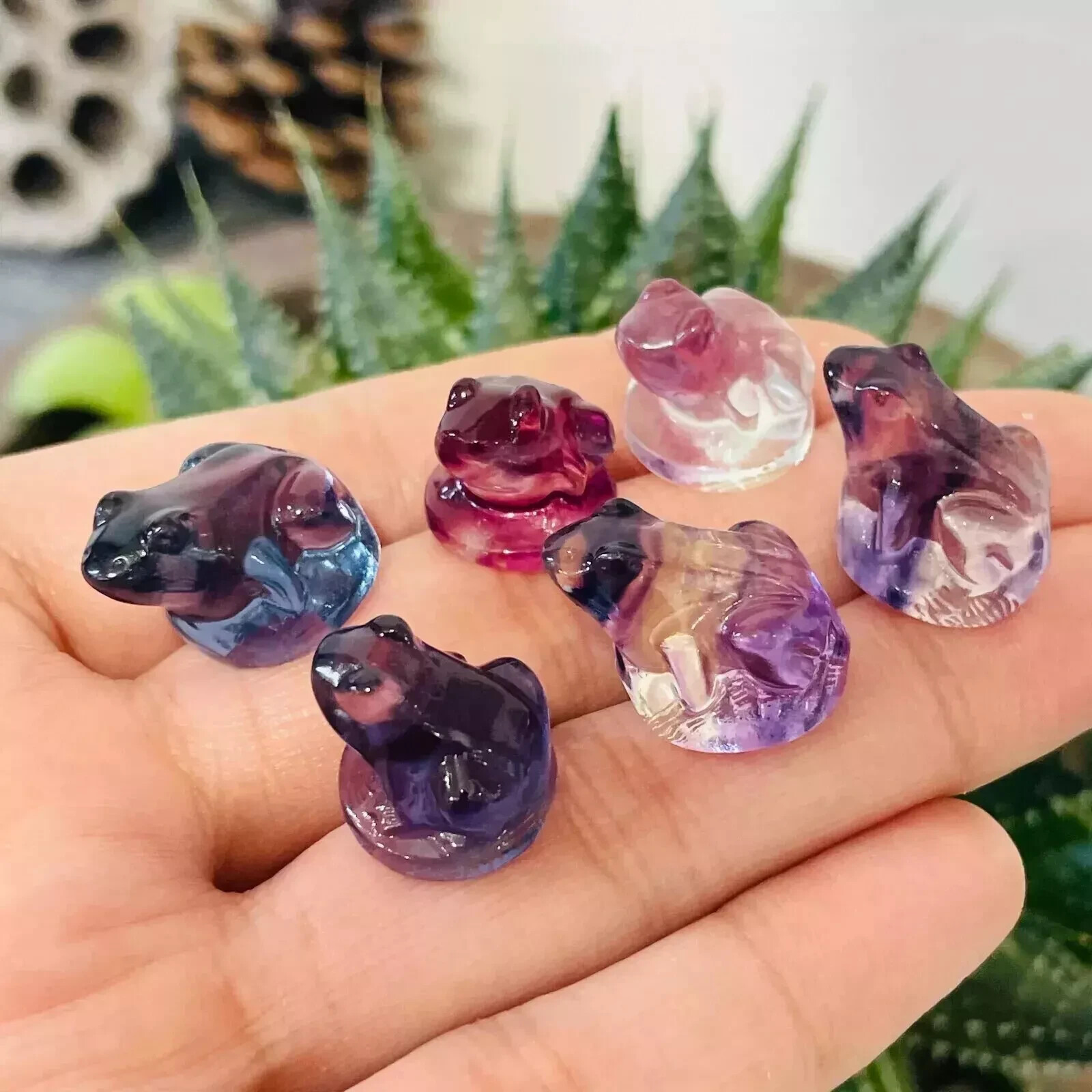 5pc Natural fluorite carved mini frog skull gift quartz crystal reiki healing