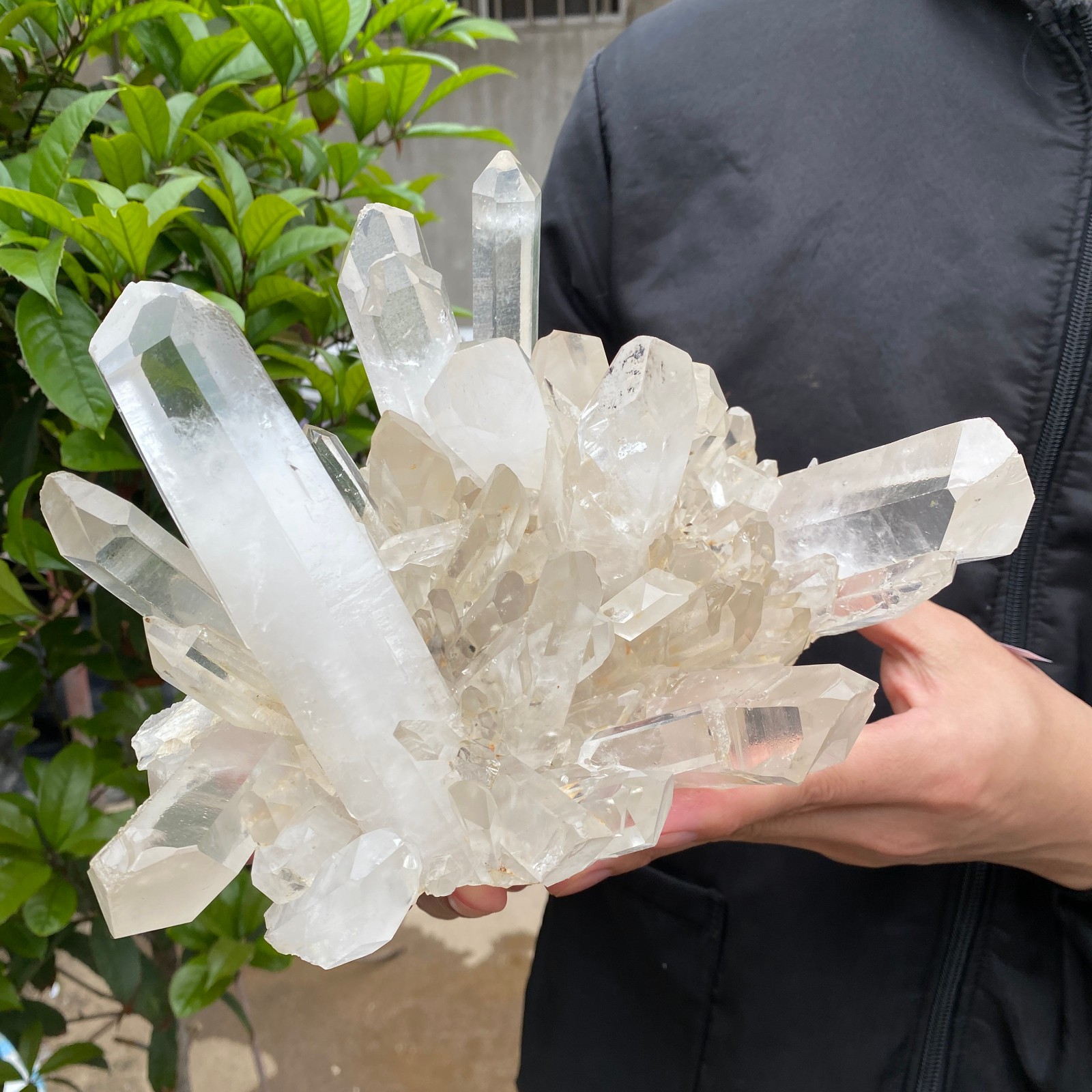 7.4lb Natural Clear White Quartz Crystal Cluster Rough Healing Specimen