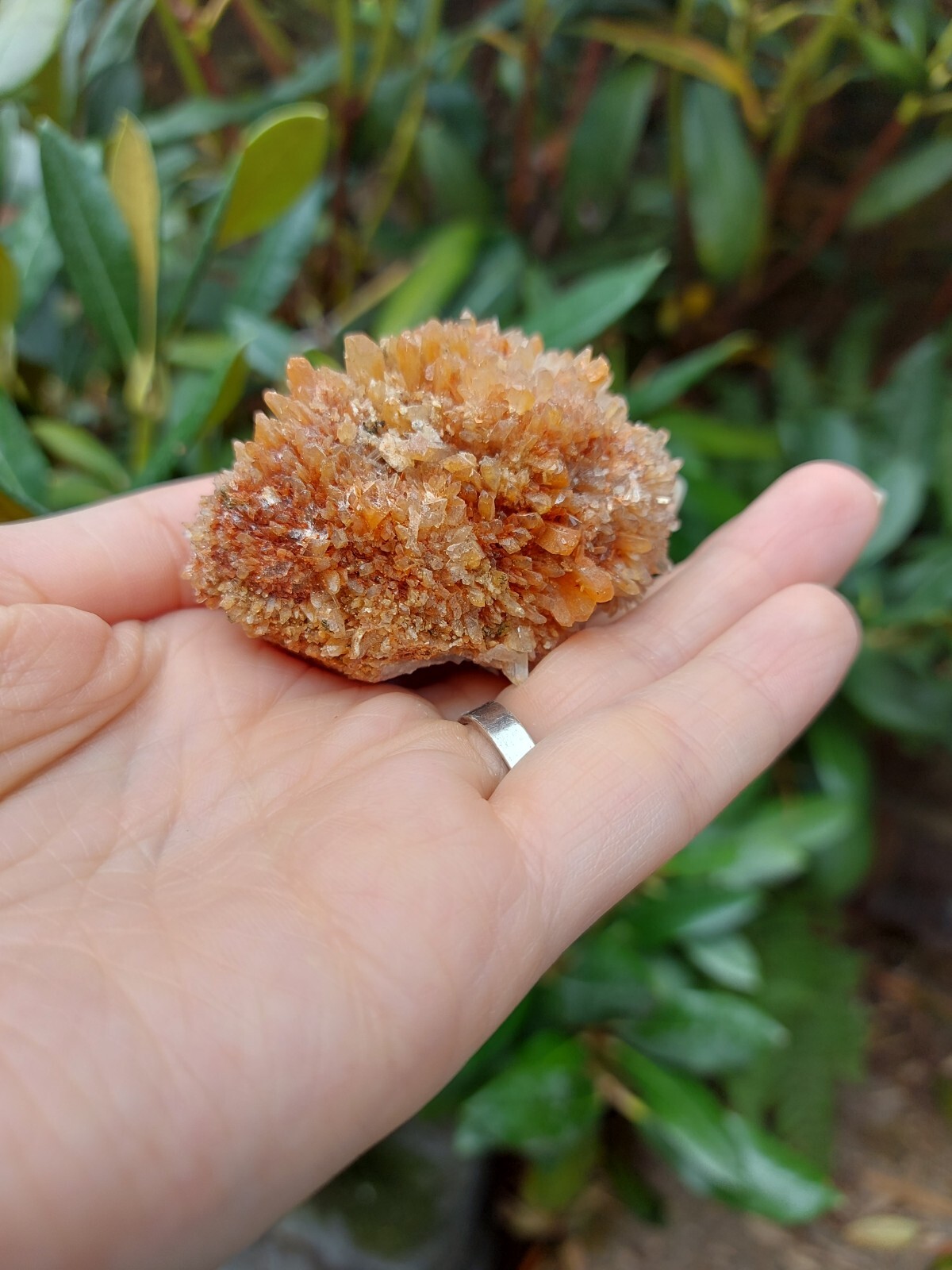 Rare Creedite with green quartz specimen, USA