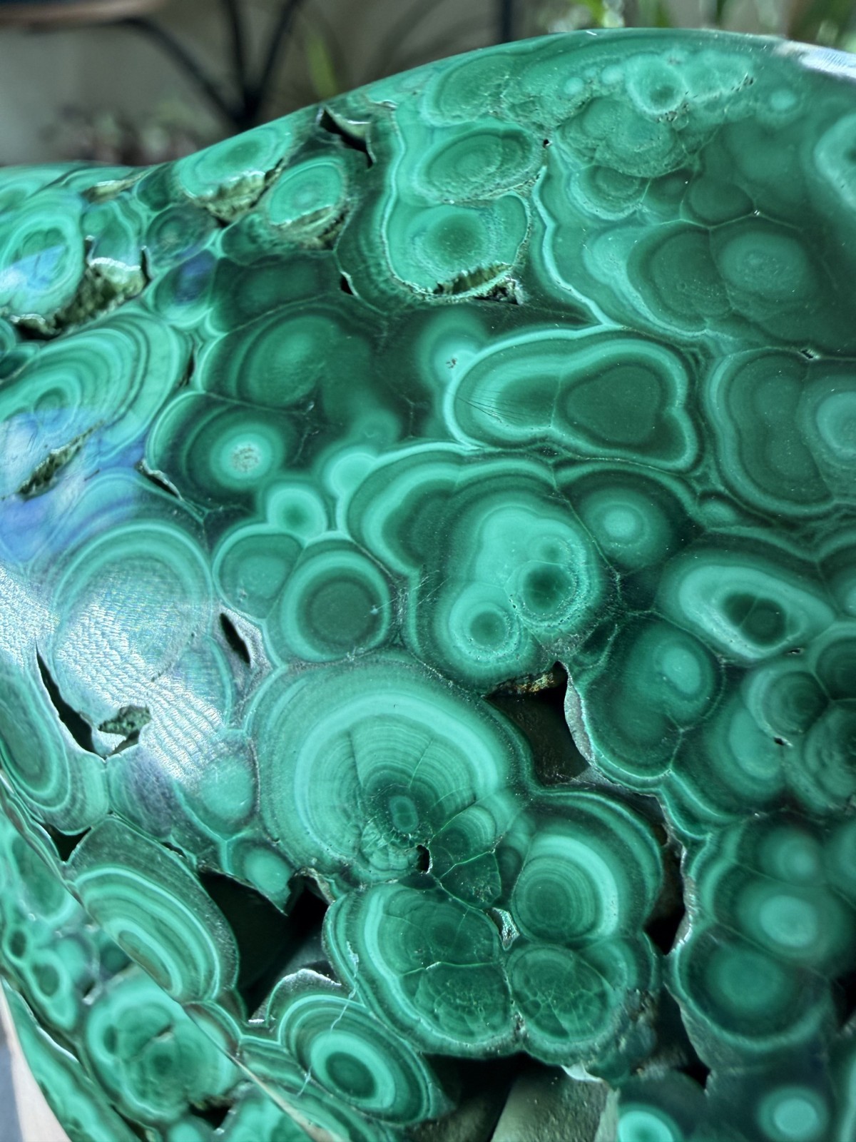 Polished Malachite Freeform – Congo – 1.42 lbs