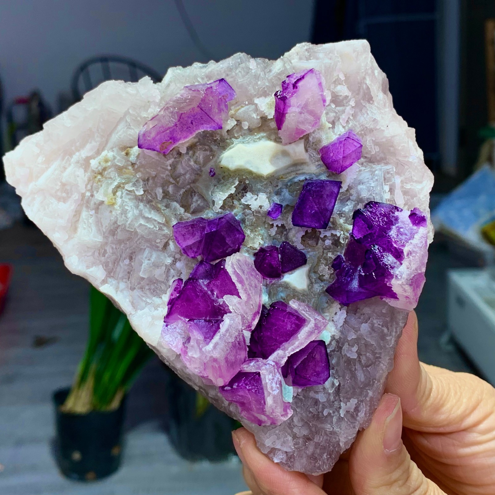 1.76LB Natural purple cubic fluorite mineral crystal sample/China