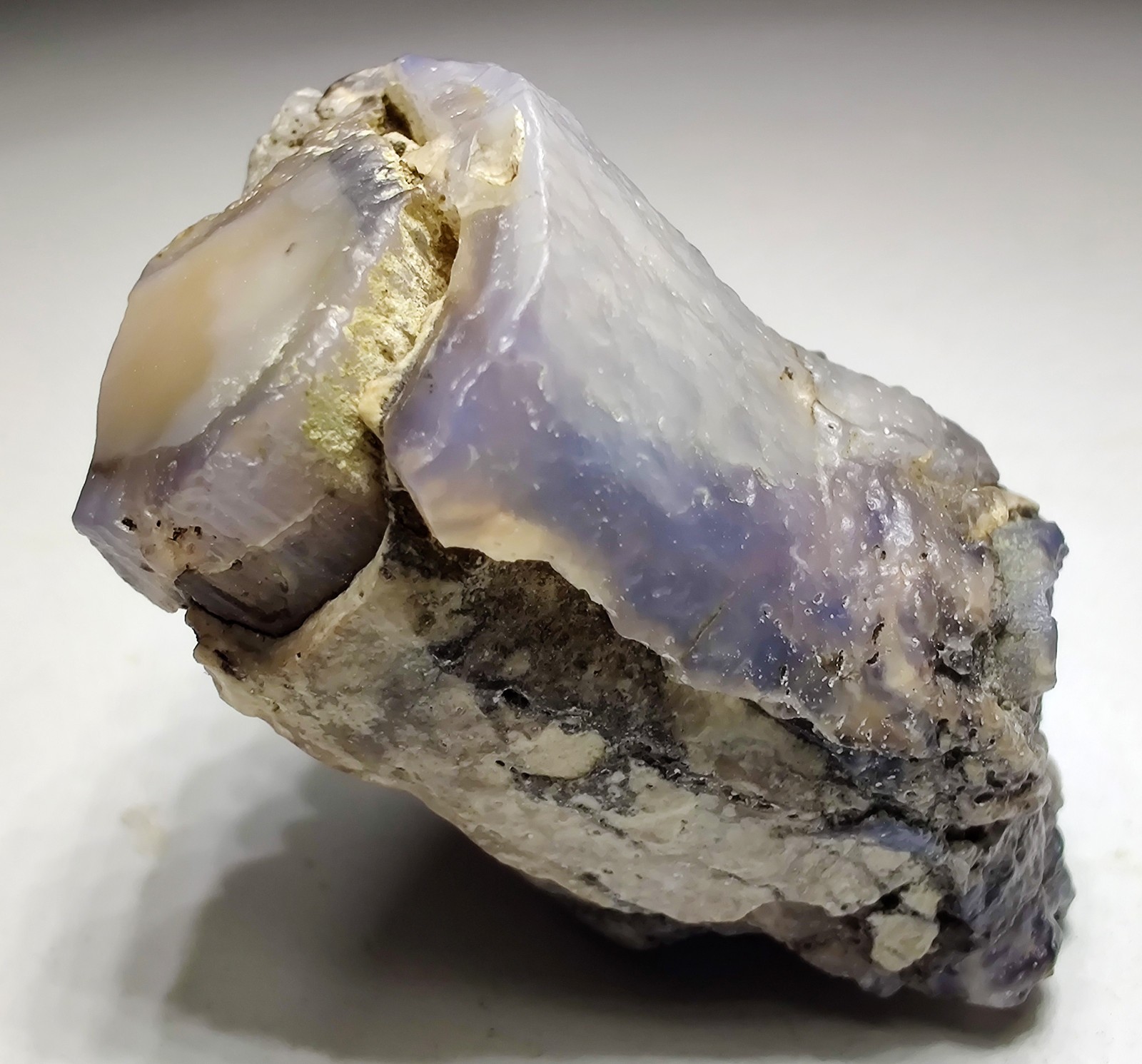 Petrified Wood, Fluorescent. Eden Valley, Wyoming. 20 grams.