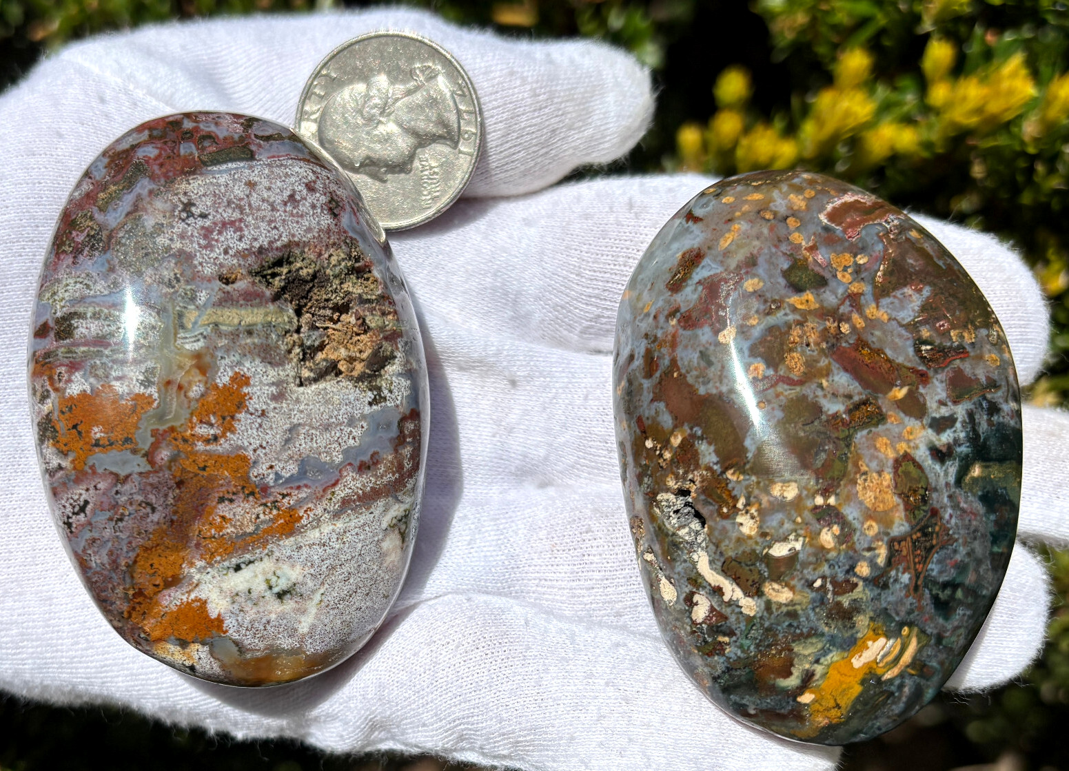 USA SALE 242g LOT OCEAN JASPER OJ PALMSTONES PALM STONES Palm Stone