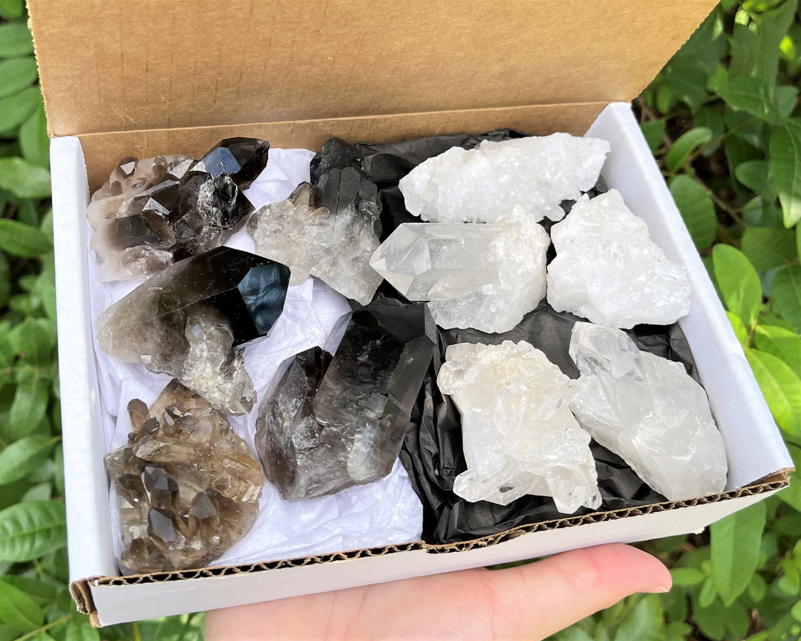 Natural Clear Quartz & Smoky Quartz Crystal Clusters 8-12 Piece Box Lot