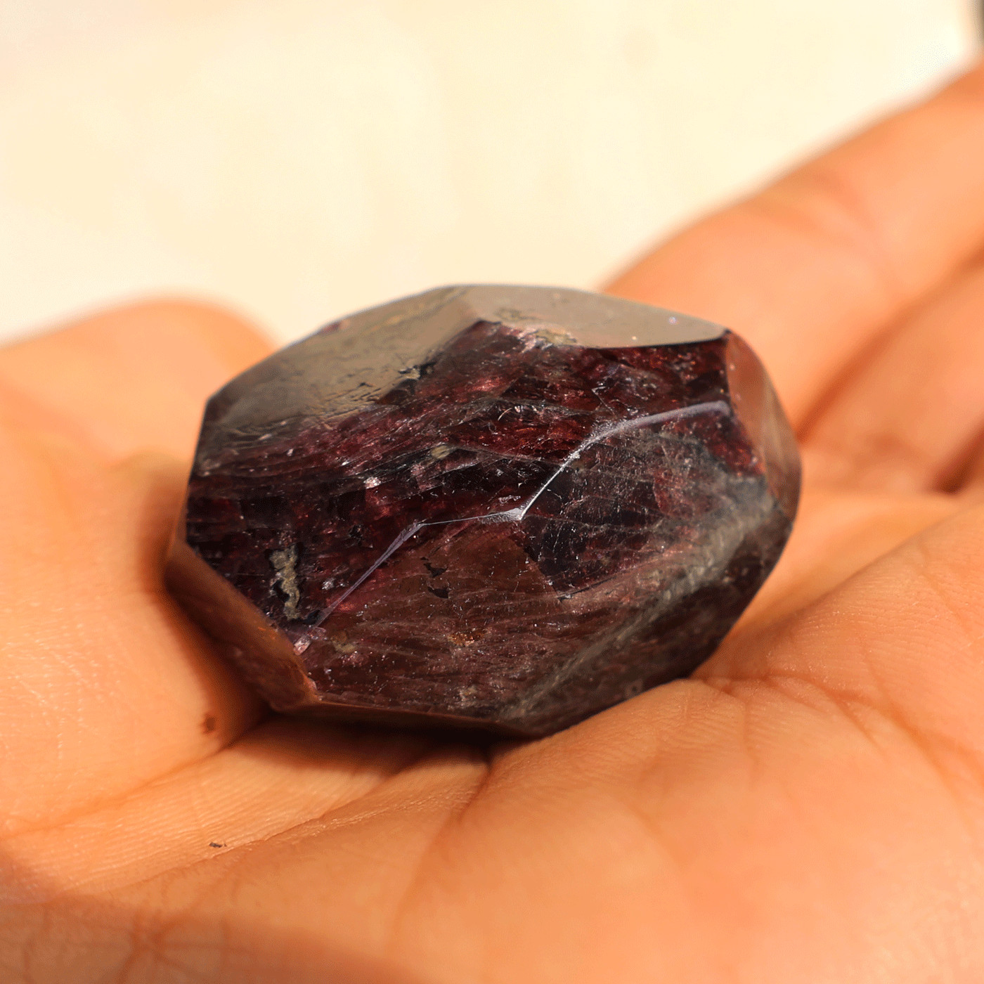 Earth’s Core~ 52.84g Natural Gemmy Garnet Faceted Crystal Sphere Ball Specimen
