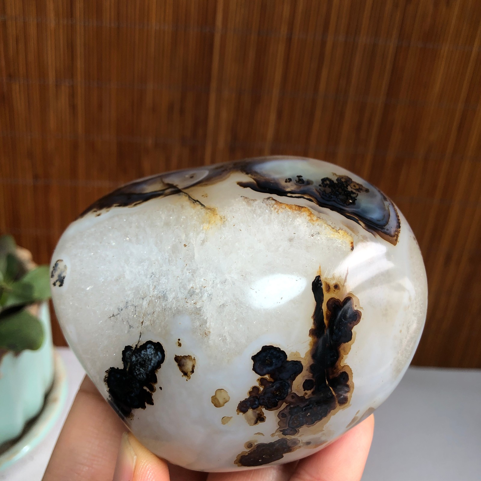 83mm Natural aquatic plants agate pretty Crystal specimens 427g A1482