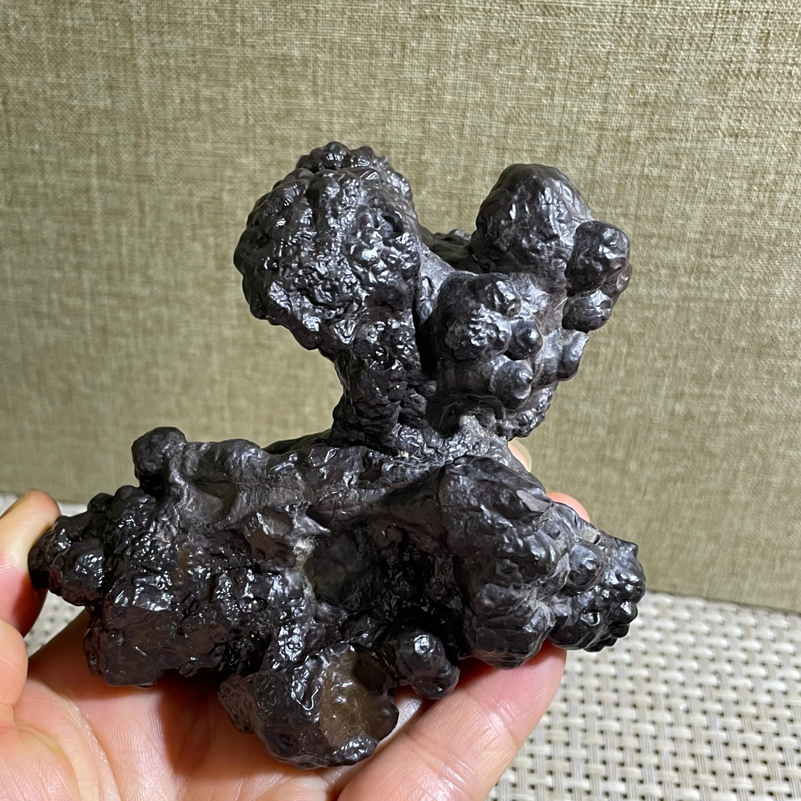 432g Limonite & Hematite pseudomorph after Marcasite Prophecy Rock Stone